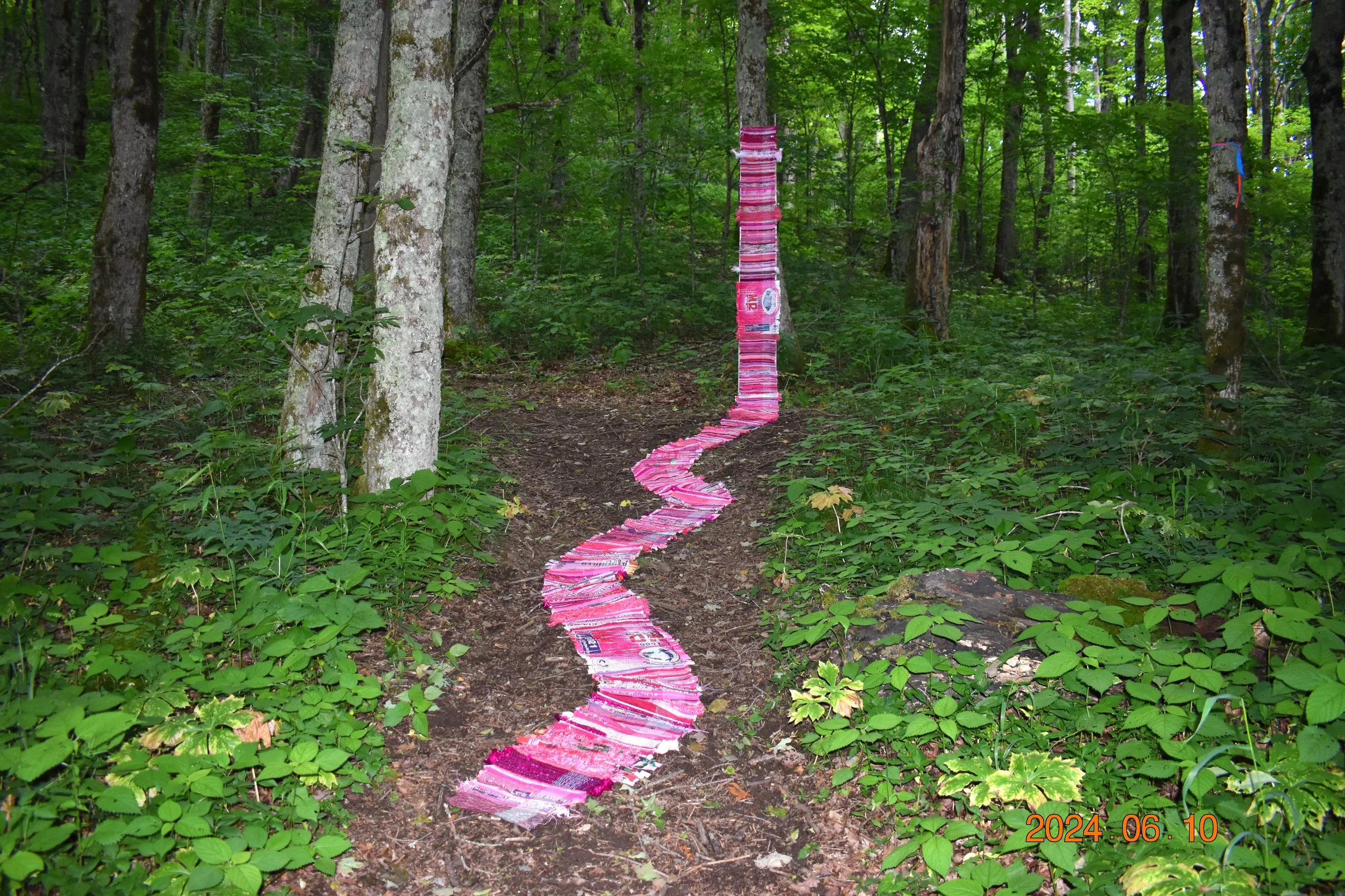 kelsey merreck wagner_pink snake.JPG