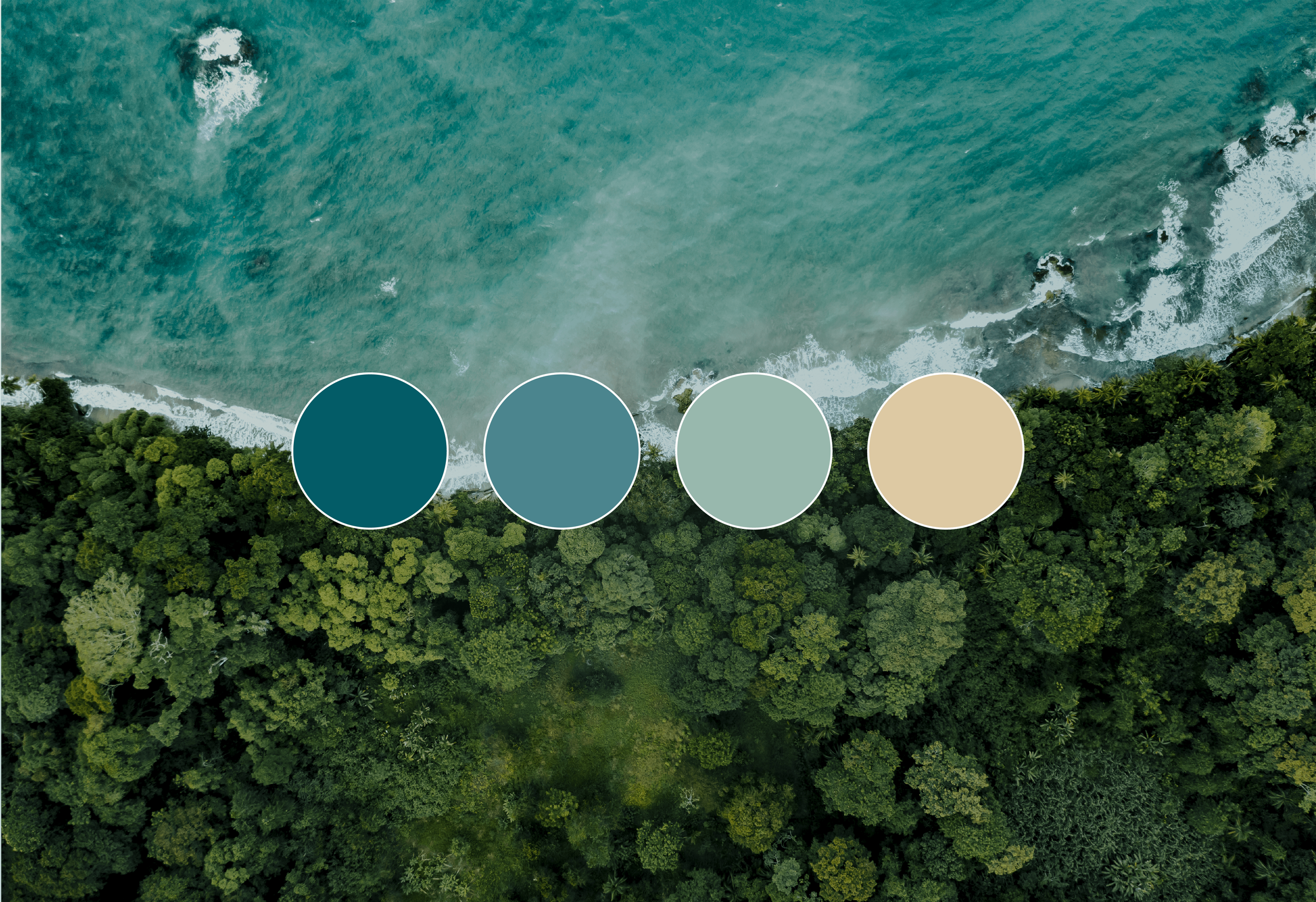 I_AM_Designs_Experience_Armonia_Colour_Palette.png