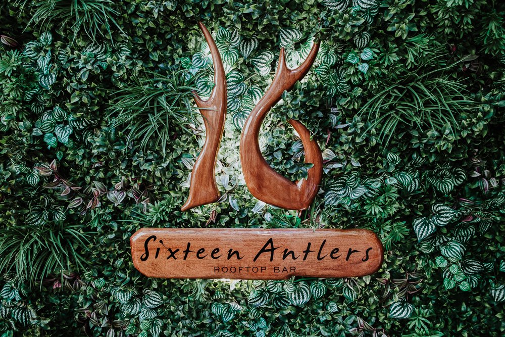 Sixteen-Antlers-event-photography-brisbane (2 of 48).jpg