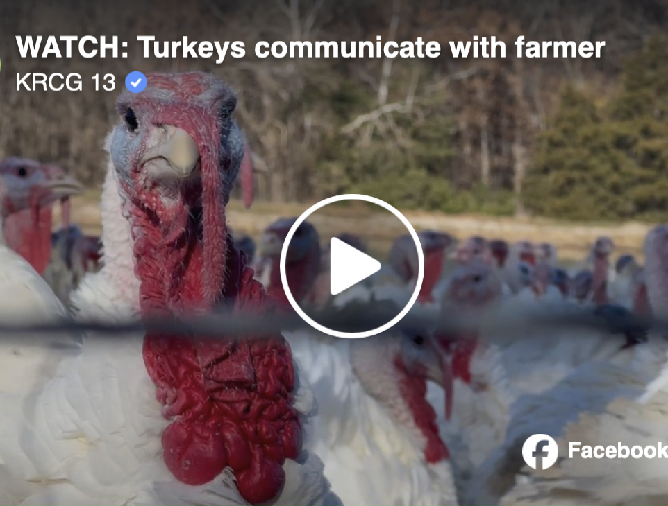 Screenshot 2024-09-24 at 3.37.33 PM.png