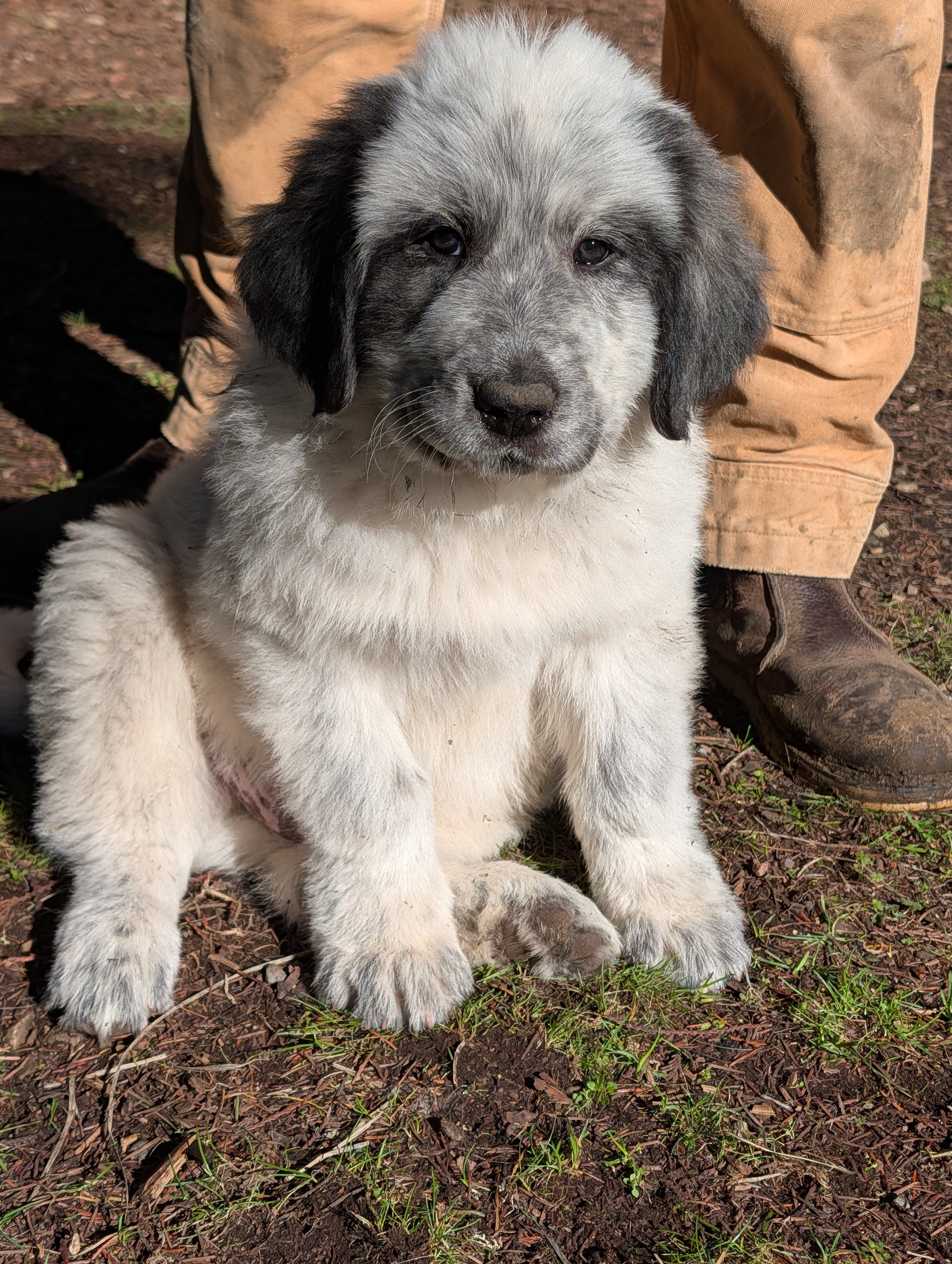 Luigi.  Unavailable.