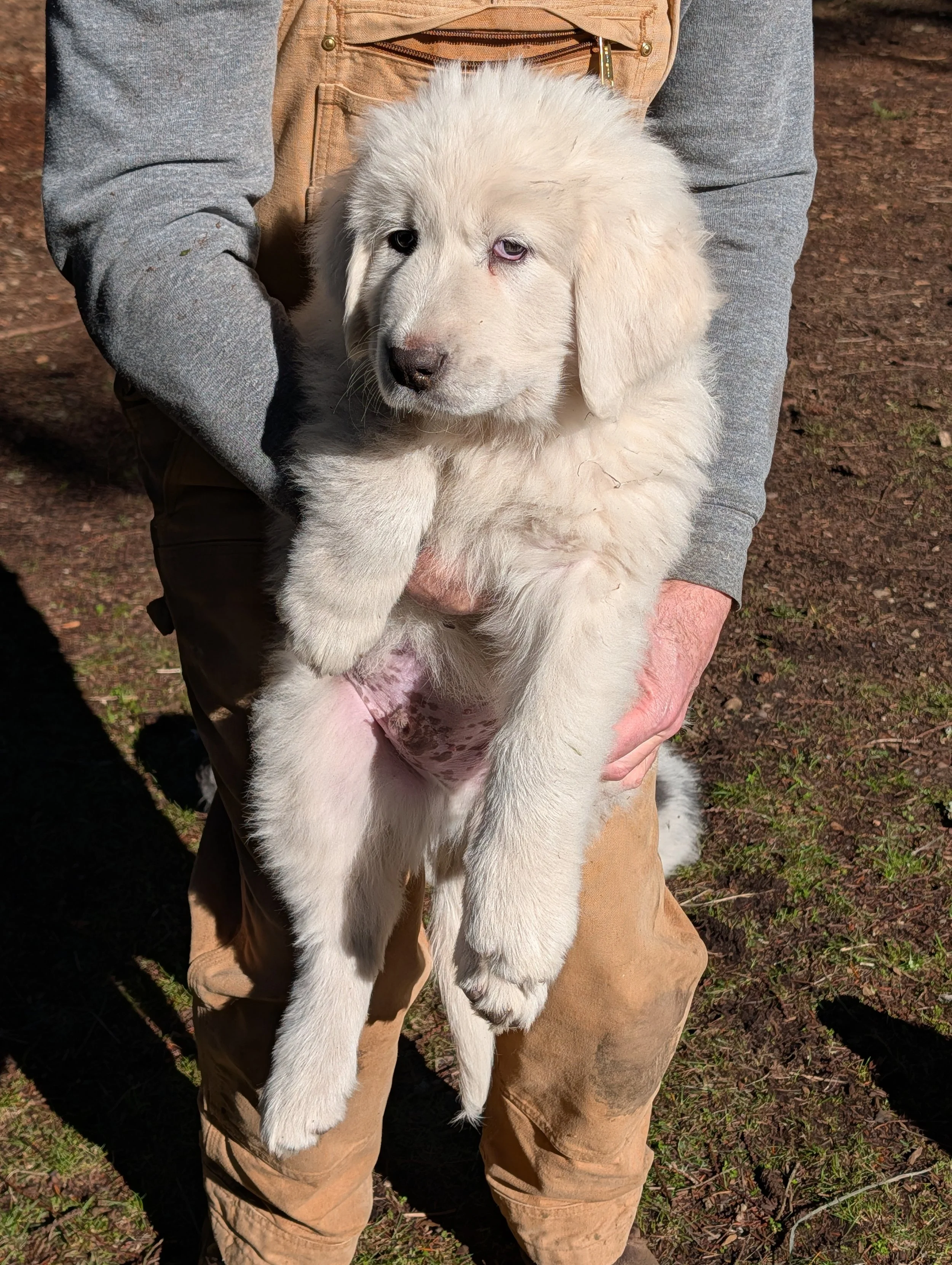 Mario.  Unavailable.