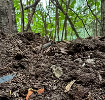 weeks not centuries.PNG