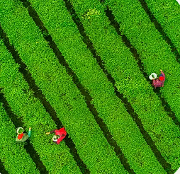 what is upcycling.PNG