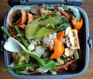 why home compost.PNG