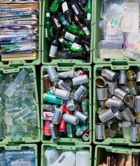 carbon footprint.PNG