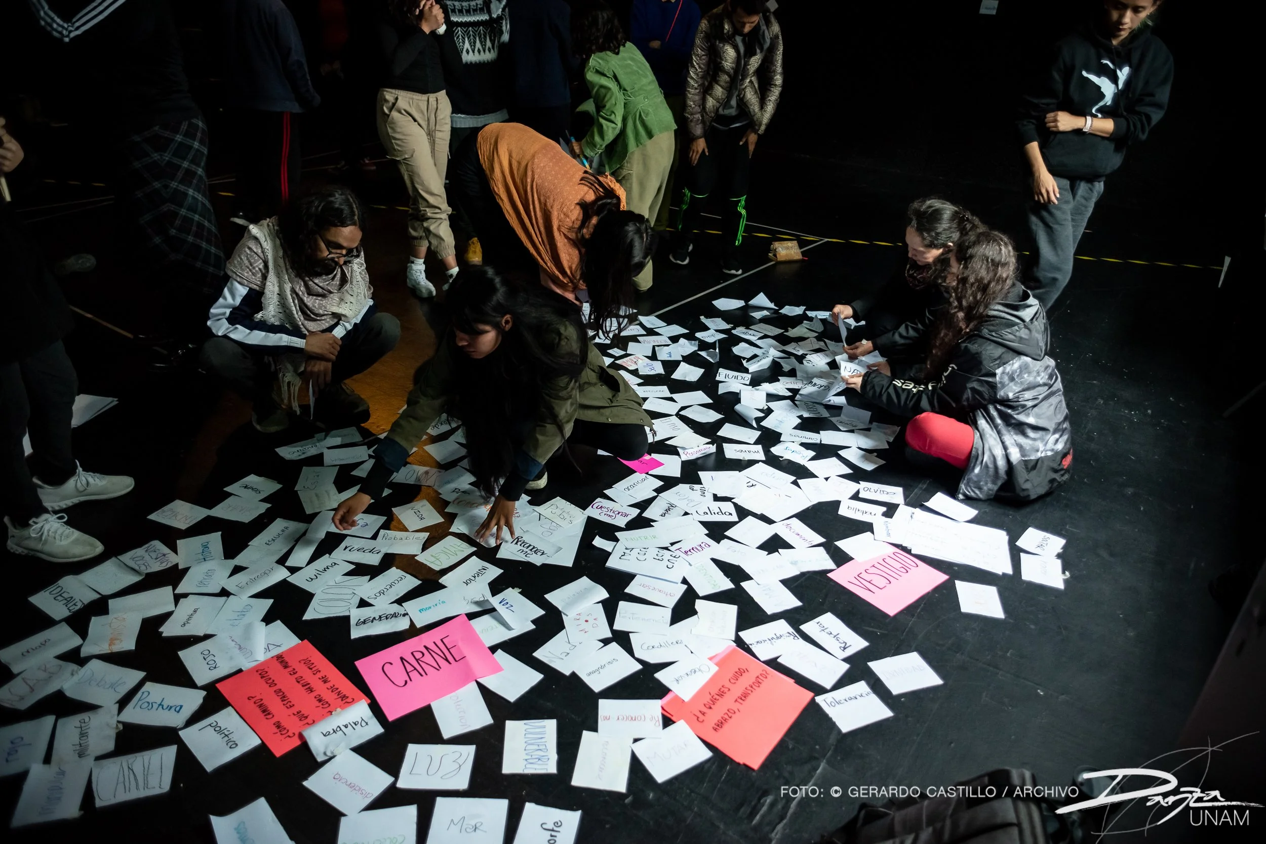 Personas en grupo revisando tarjetas blancas y de colores en el suelo.