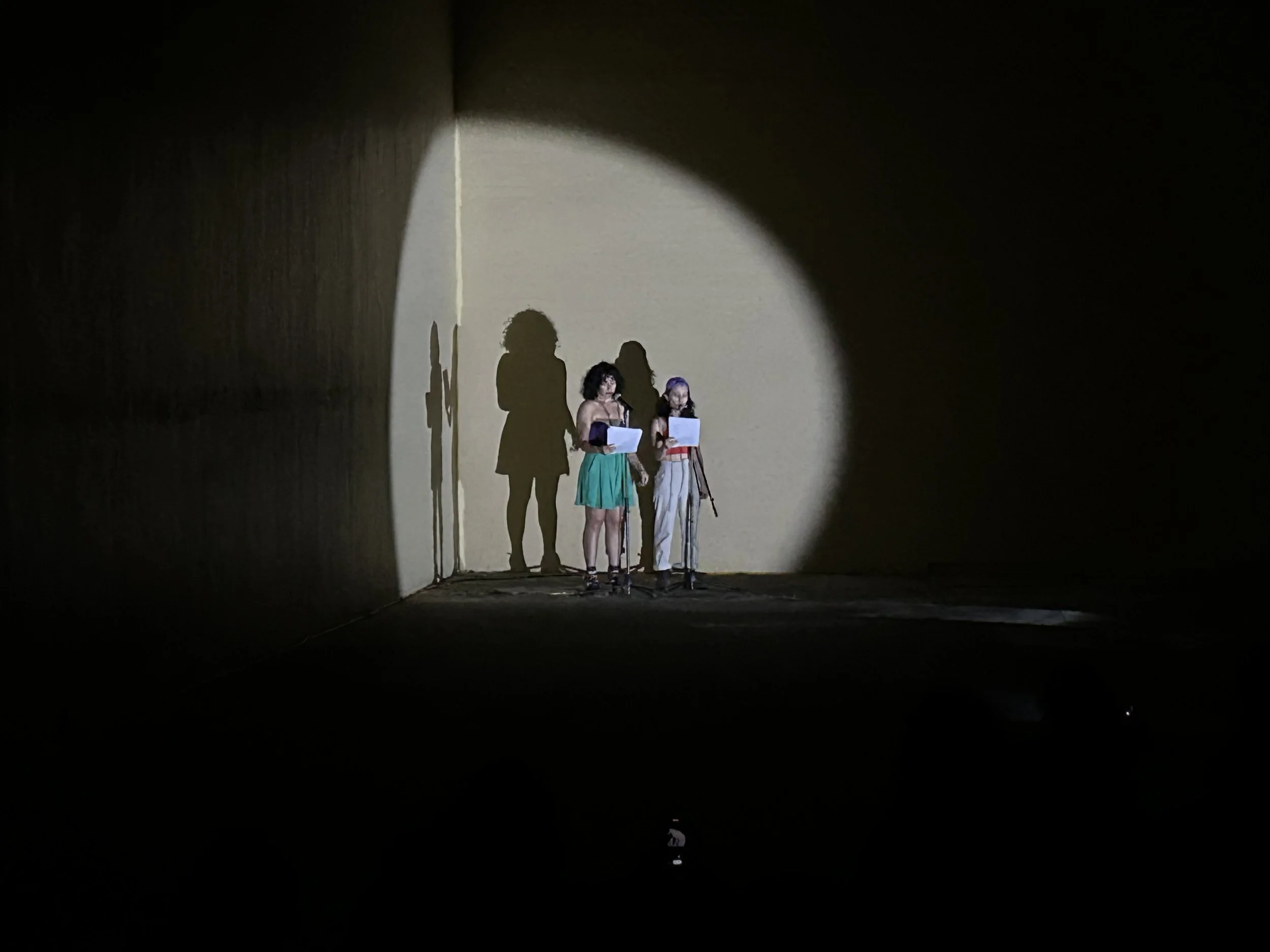 Dos personas leyendo en micrófonos iluminadas por un foco en un escenario oscuro.