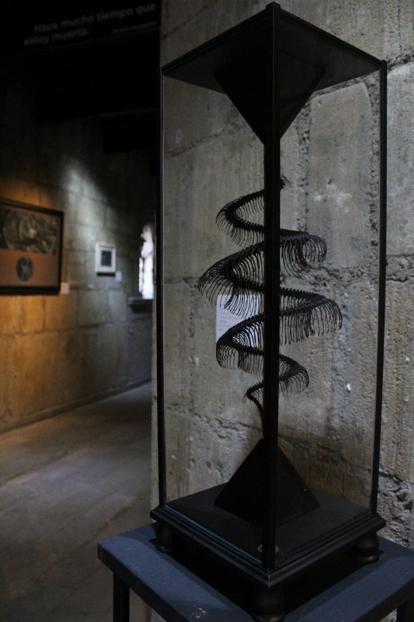 Escultura espiral de metal en una caja de vidrio en un museo con paredes de piedra.