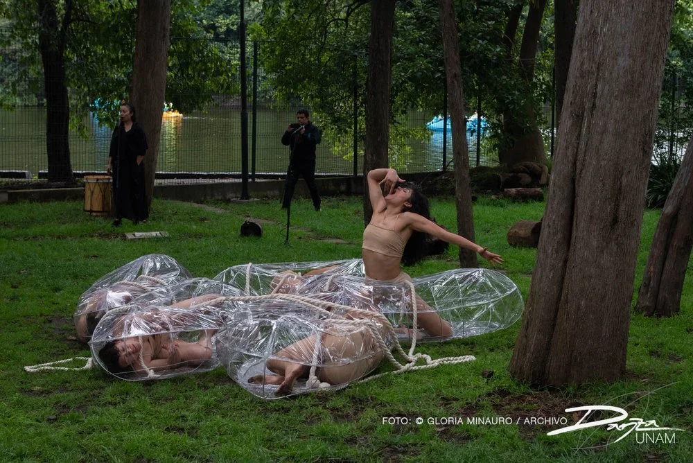 Escena de danza contemporánea en un parque, con una persona posando y otras dentro de estructuras plásticas transparentes, mientras un fotógrafo y otra persona observan.