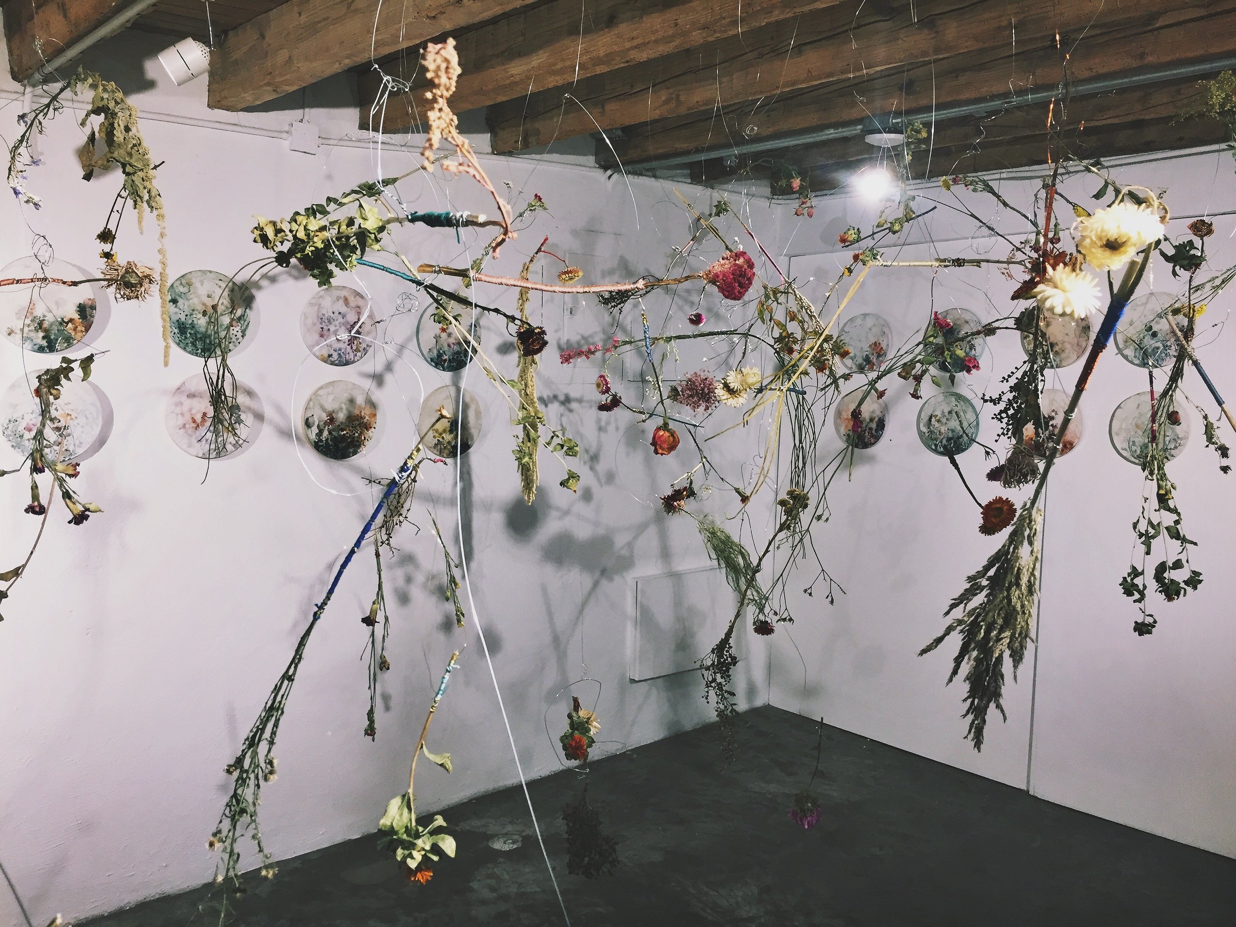 Arte floral colgante, compuesto de ramas secas y flores, suspendidas en una galería de paredes blancas.