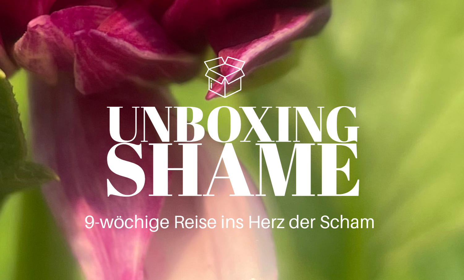 UNBOXING SHAME 