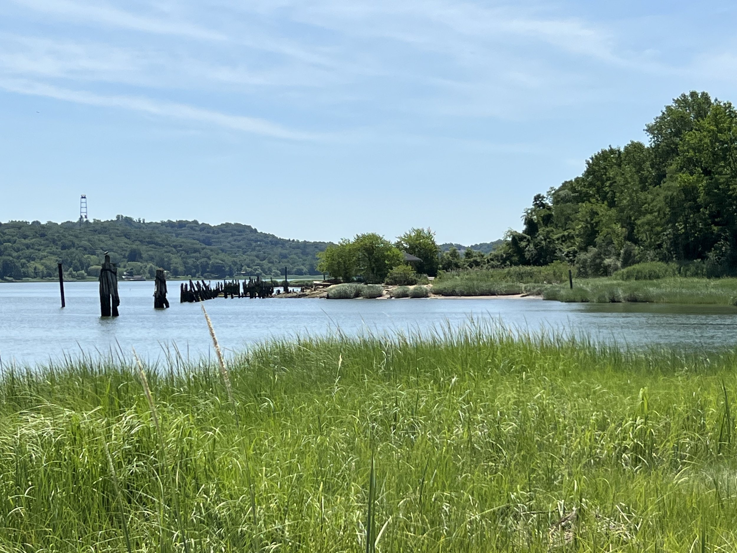 Save our Shoreline Coalition