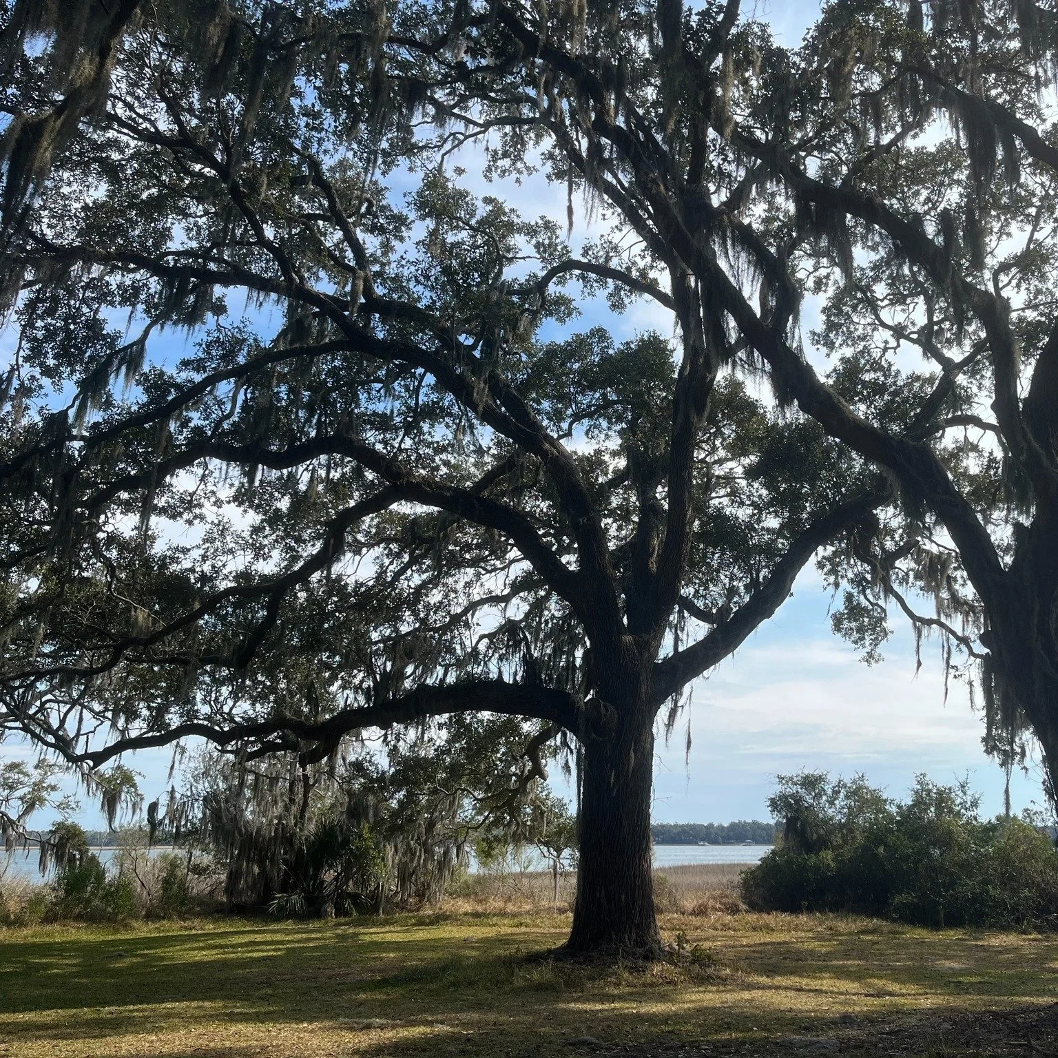 HCF celebrates Black History Month with events that happened in Beaufort County. On January 1, 1863 the Emancipation Proclamation was first read at Fort Frederick, located on the banks of the Beaufort River. The fort constructed 100 years earlier bec