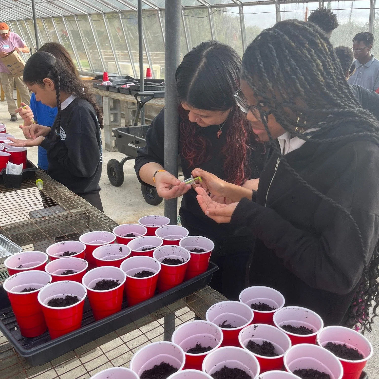 What a Spring it has been! The Outdoor Club students have been busy in the greenhouse starting tomato, squash, cucumber, and assorted pepper seedlings for distribution to families and community members. Growing Together to learn, grow, and share. #he