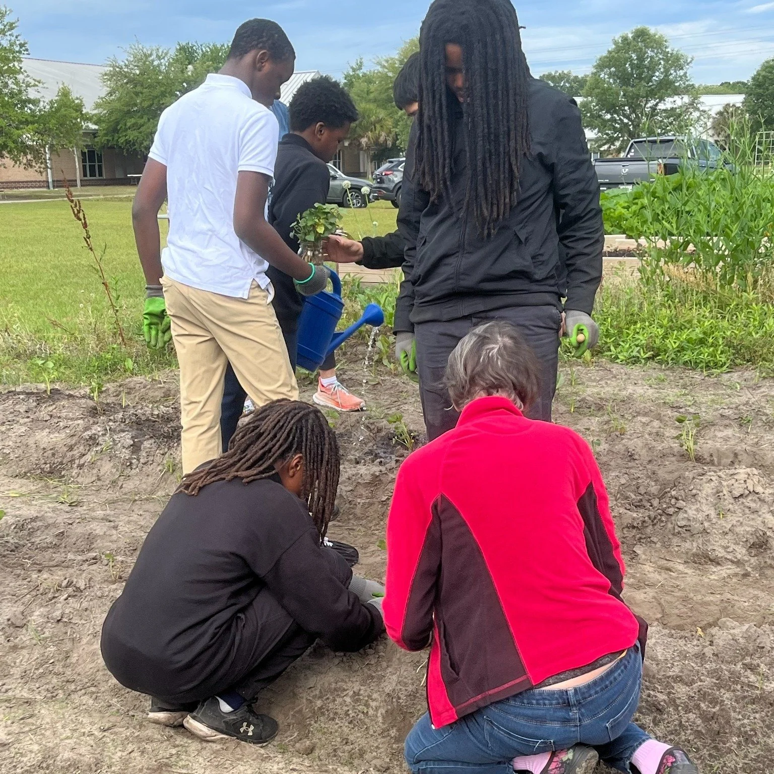 The 250 sweet potato slips were planted by the Outdoor Club and with the current warm weather, the slips are thriving. A big thank you to the Junior Service League of Beaufort for funding the efforts of HCF and students to turn little slips into a bi