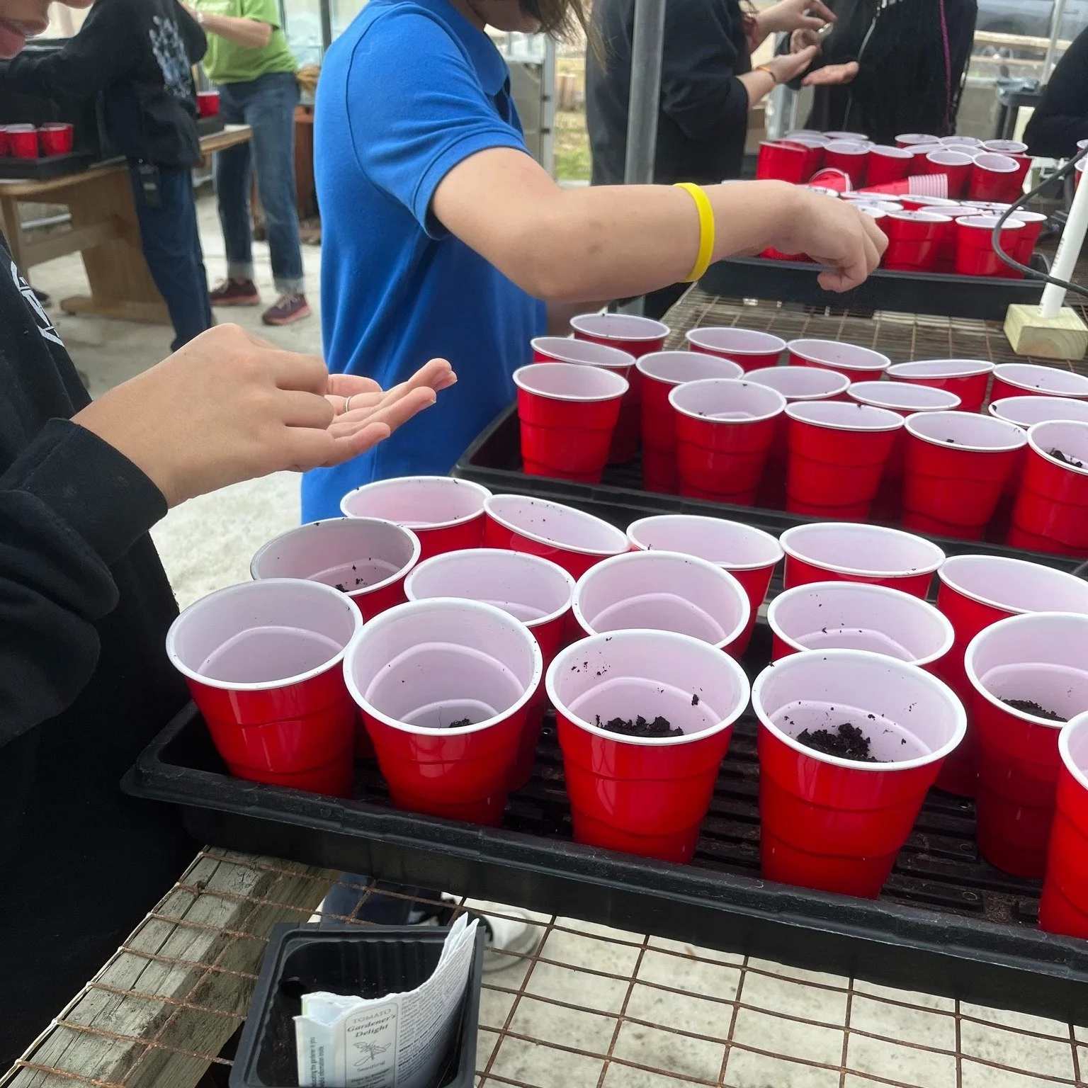 From seeds, to seedlings, to plants, to 300 pounds of produce (to date) from the raised beds at WBMS. Cucumbers and squash have gone home with students, staff, and to a local food assistance pantry. More to come! Growing Together to plant, produce, a