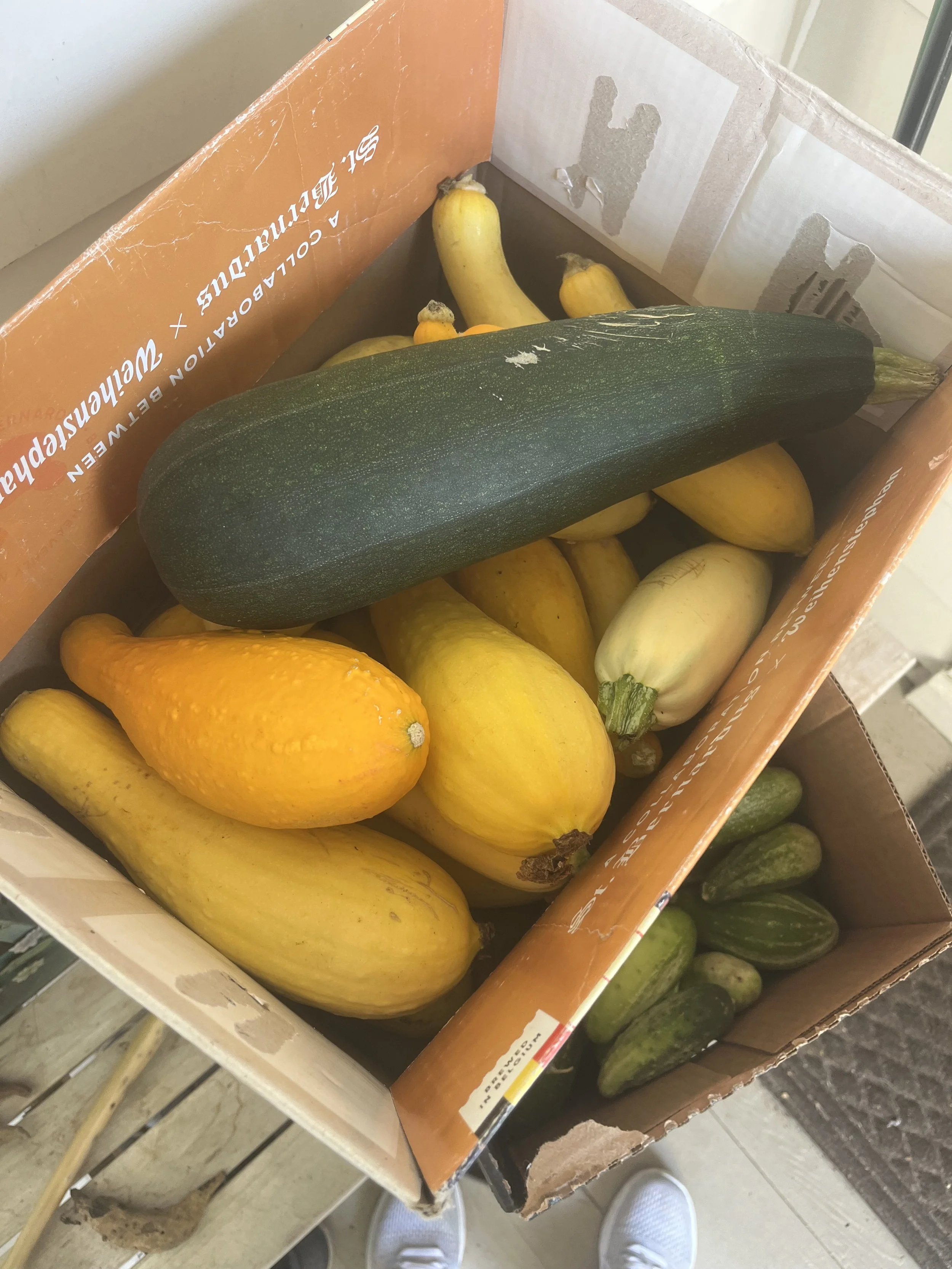 A Bountiful Summer