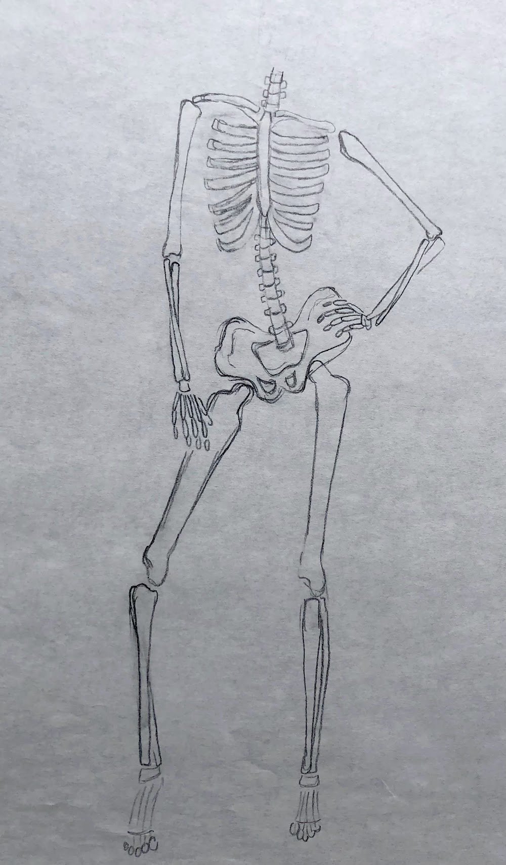 Graphite Fashion Figure Skeleton