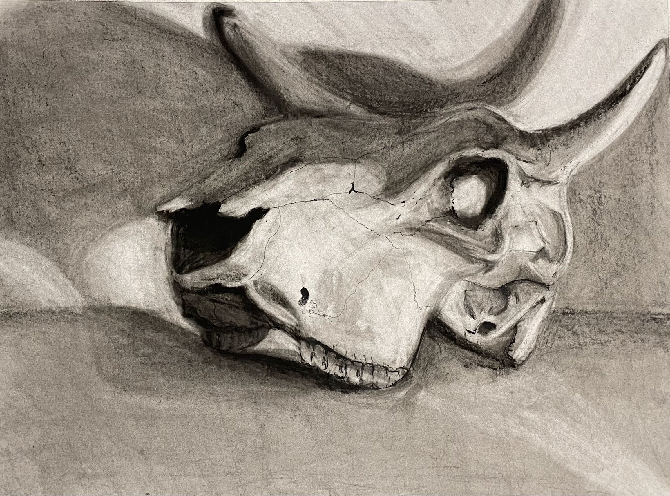 Charcoal Skull