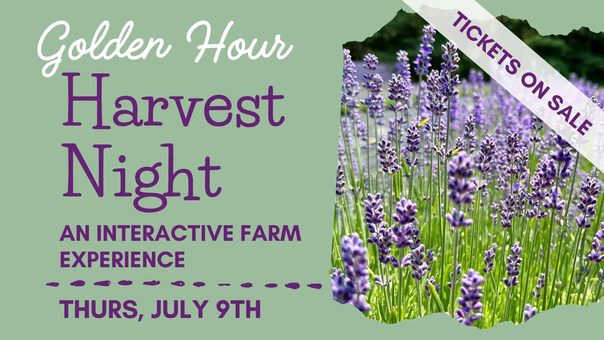 GOLDEN HOUR Harvest Night -Interactive Event (Ticket required) 