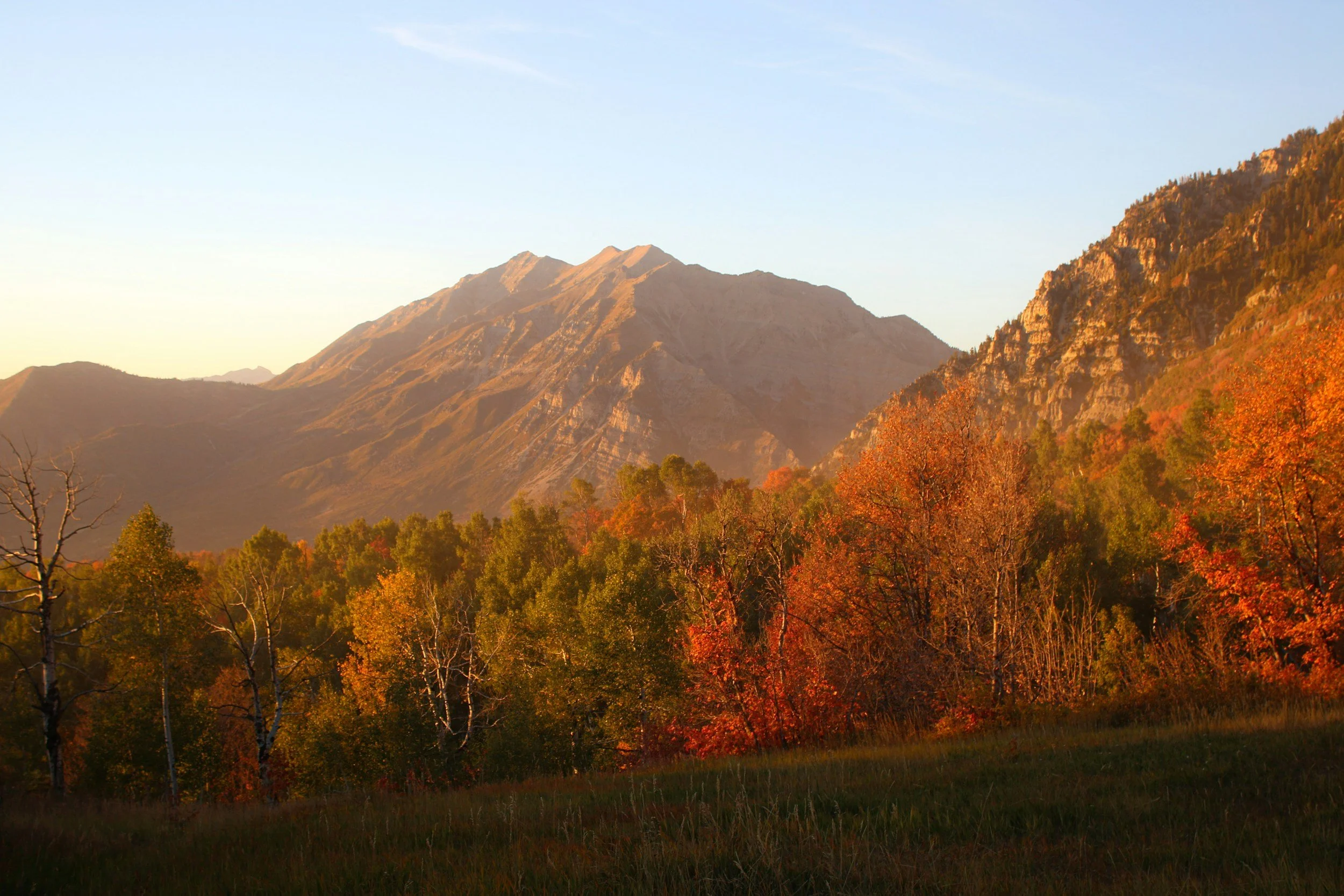 October Newsletter