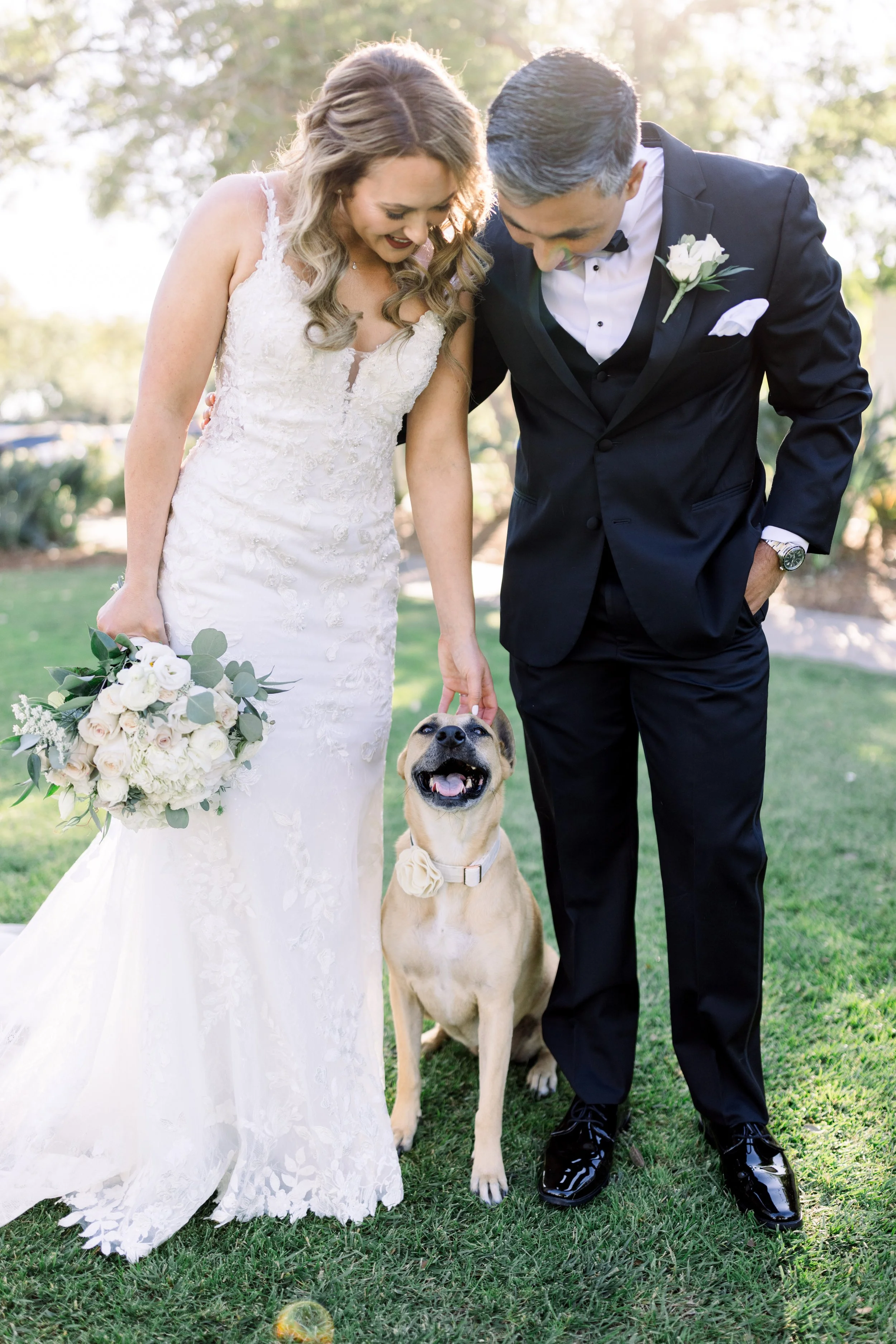 A bride and groom in wedding attire are standing outside on grass, smiling and interacting with their happy dog, a tan-colored Labrador Retriever, on a sunny day.