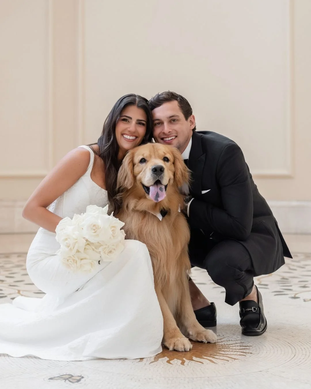 I Dog Too_HomeBanner_4.jpg