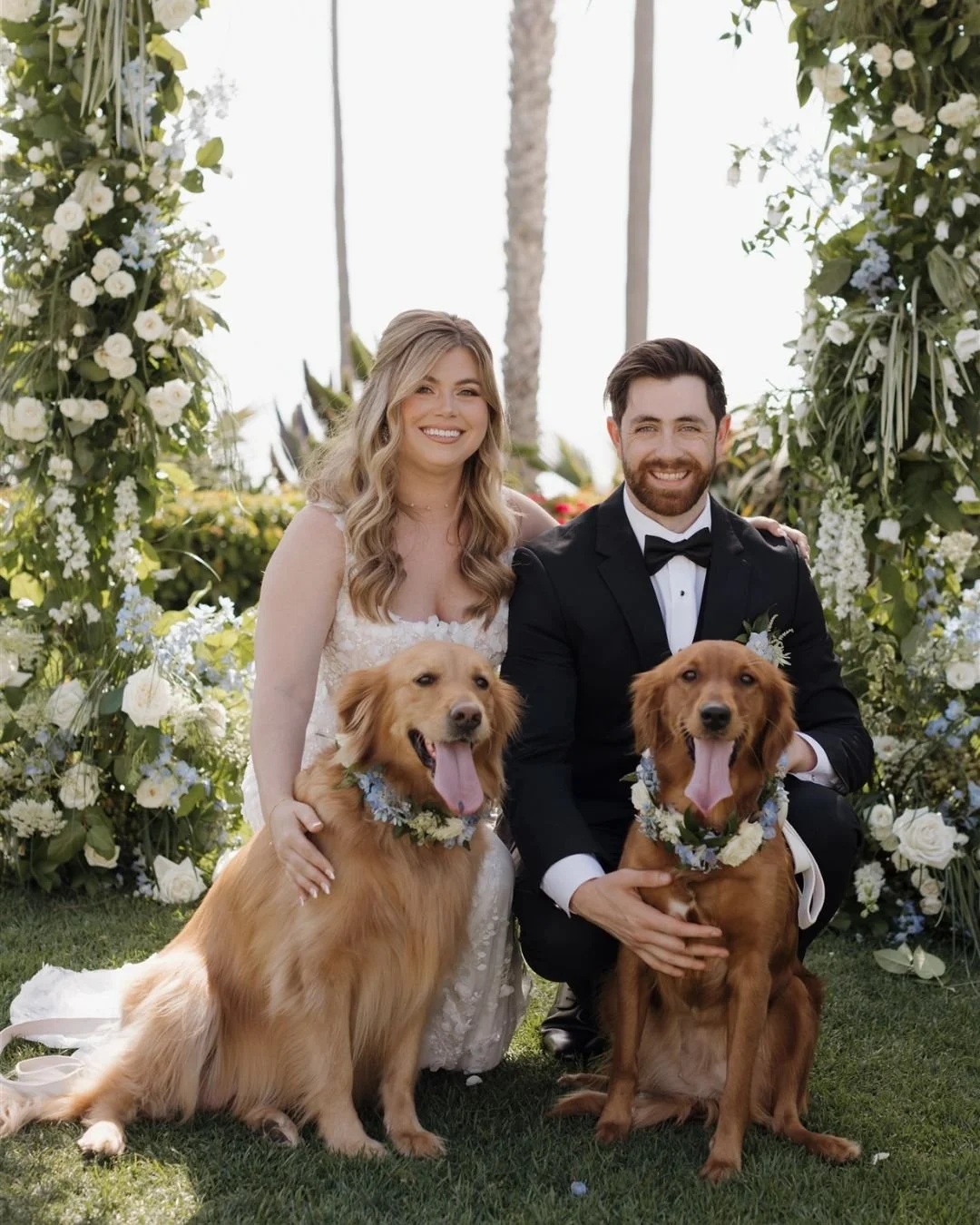 I Dog Too_HomeBanner_6.jpg
