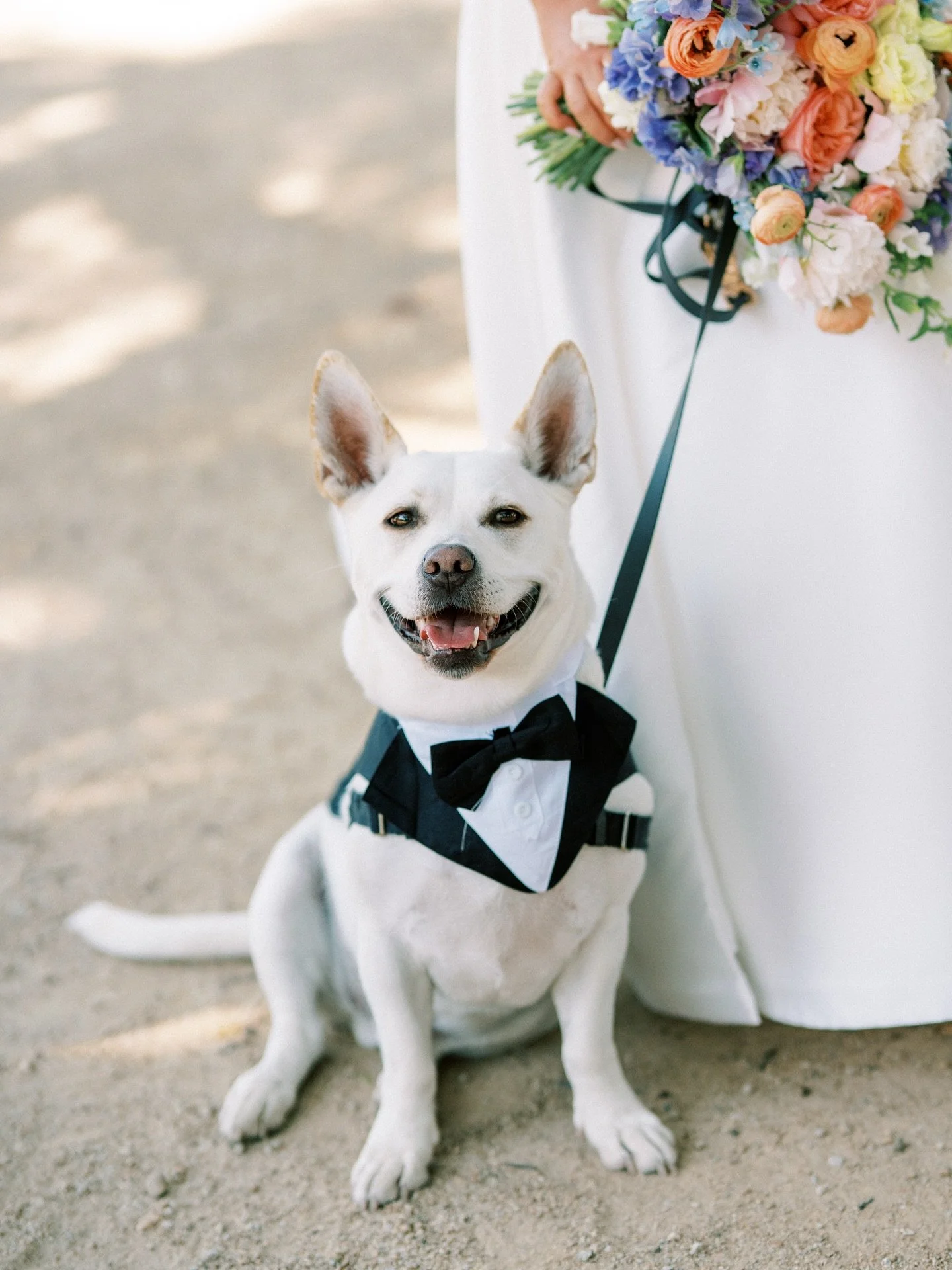 Q: What&rsquo;s the definition of a happy boi?
A: Higbee 🐶
Our cutie date @higbeegram had the biggest smile all day because he got to witness and celebrate his parents say I do! 🐾 

Venue:&nbsp;@westlakevillageinn
Planner:&nbsp;@remmievents
Dog Han