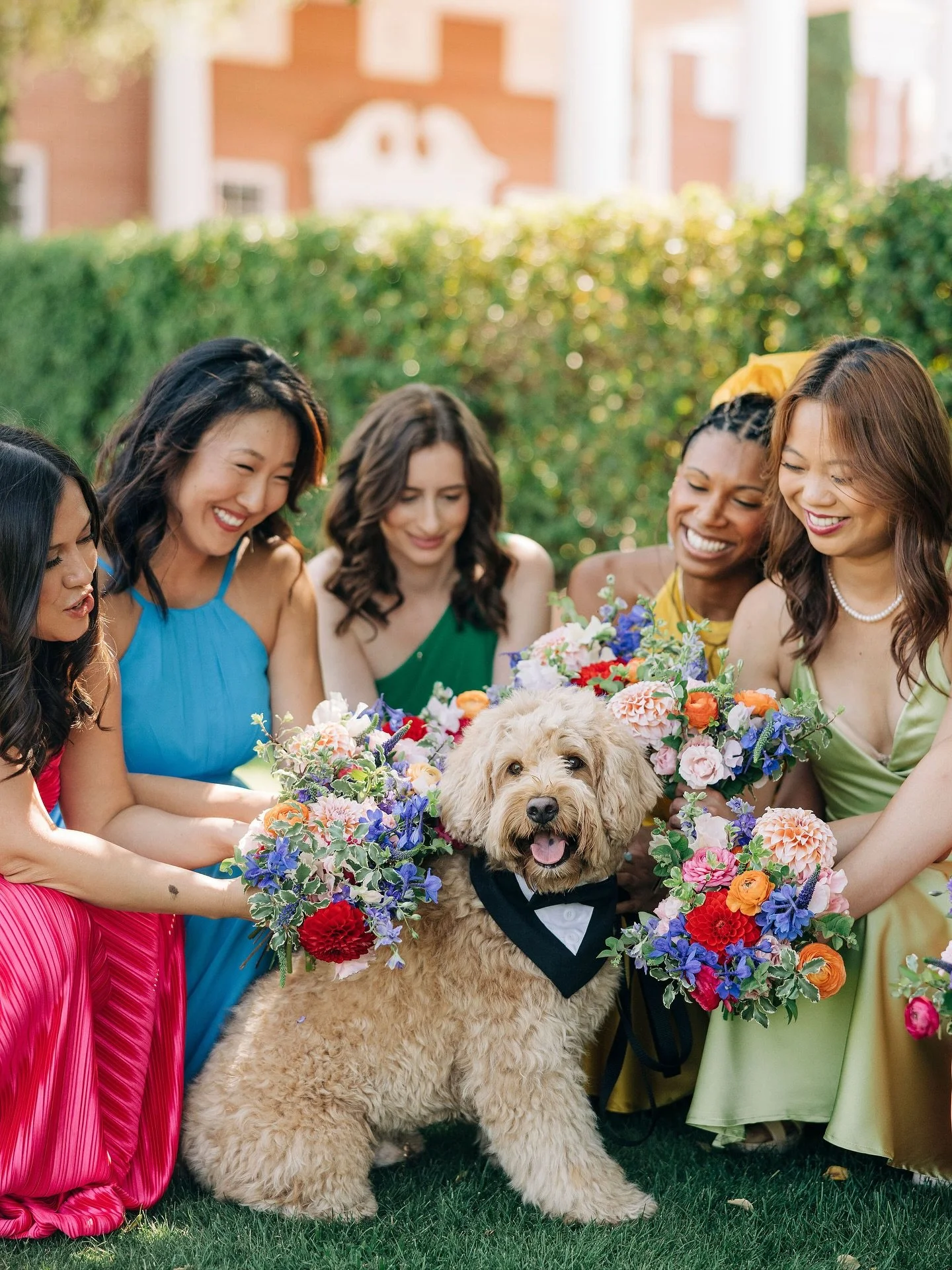 The most magical day full of color and pure joy with our dapper pups of honor Misiu and Fred. The boys had their best day ever! Congratulations Nancy and Szymon 🤍

Dog Handler @idogtoo
Photographer @betsnewman 
Venue @sherwood_country_club @kennew 
