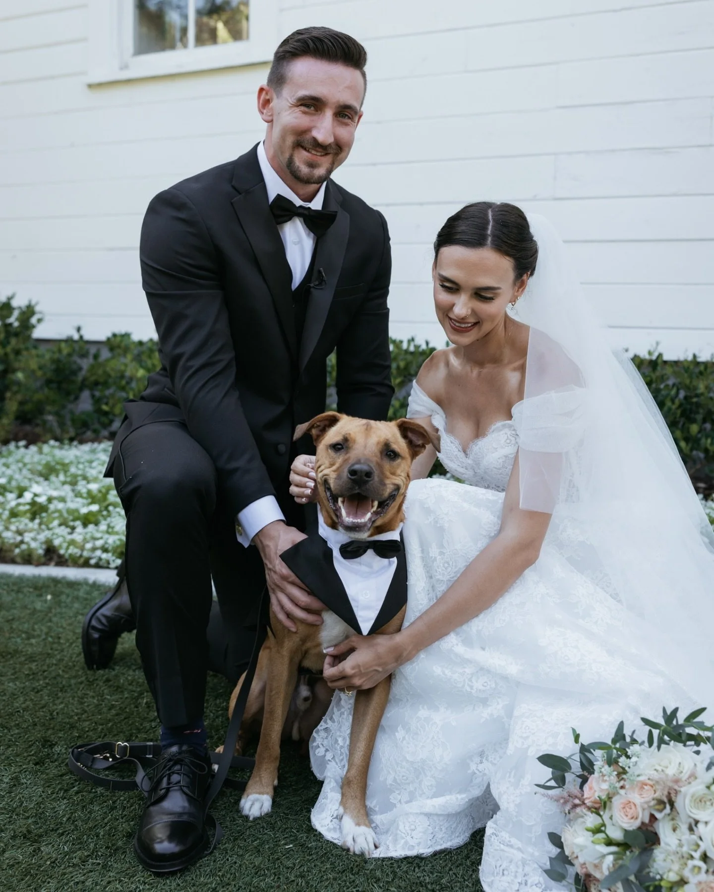 Name a happier dog&hellip; we&rsquo;ll wait 🥹🤍 Otis&rsquo; smile says it all! He had the best day at his pawrents wedding at @greengablesweddings and loved surprising them by making it pawficial with his signed Pawtificate of Marriage 🐾

Pet atten