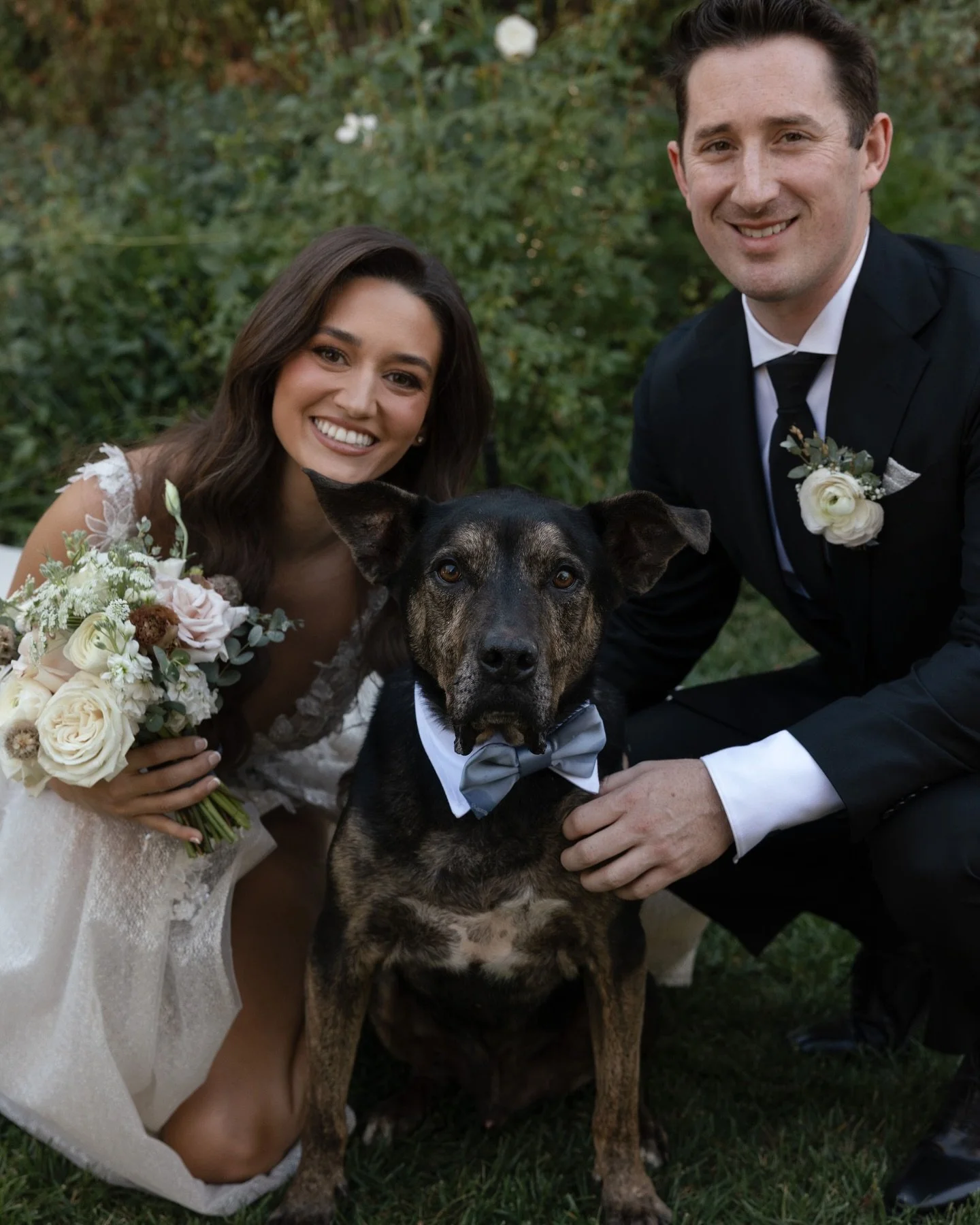 The most beautiful wedding day for Haleigh and Lucas with VIP (very important pups) ring bearer Gator, and flower girls Poppy and Bailey. Our hearts are so full knowing sweet Gator was able to be a part of his parents most magical day 🥹 He is foreve