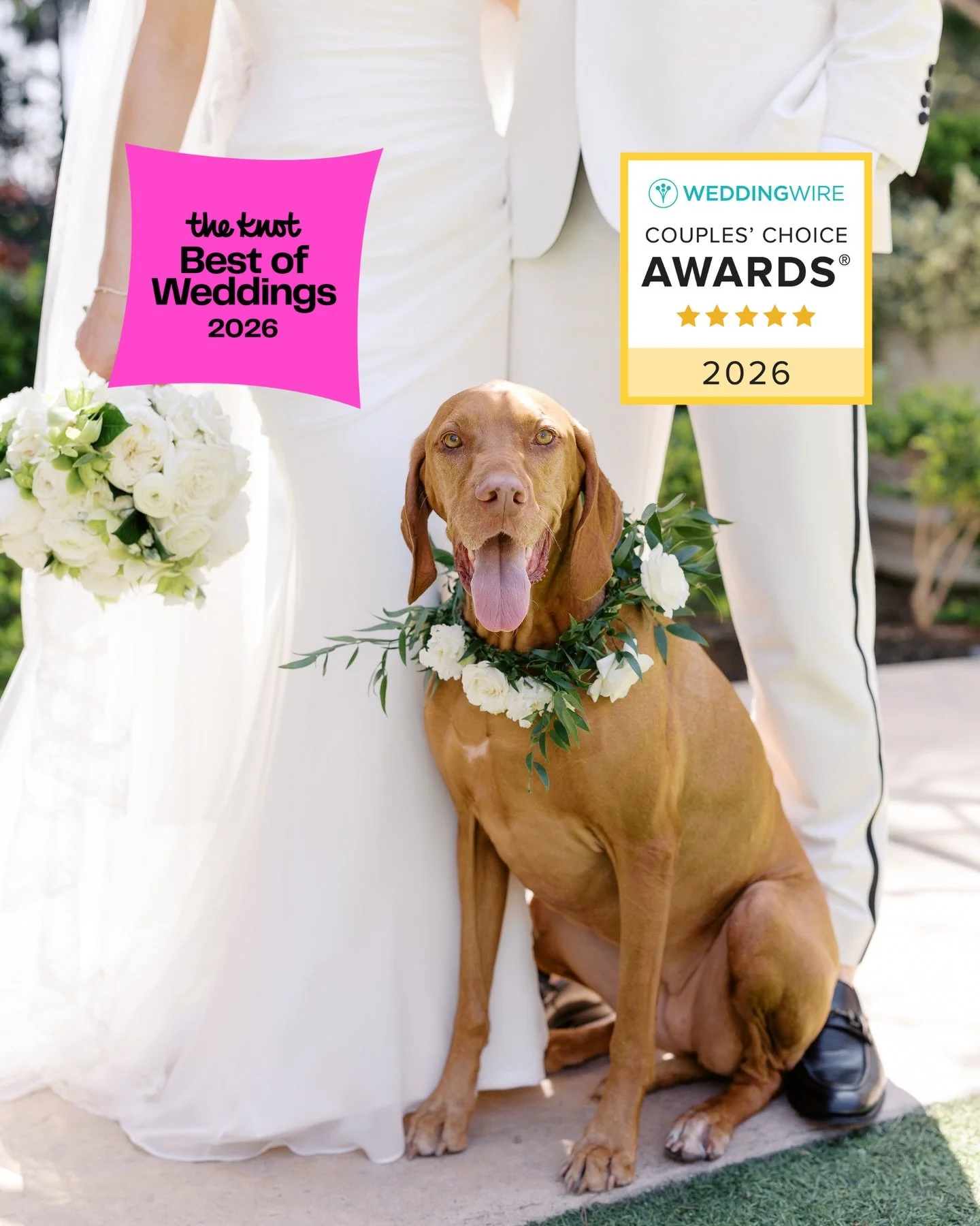 🏆🎉 We are honored to kick off 2026 with @theknot Best of Weddings and @weddingwire Couples&rsquo; Choice awards (and for the second year in a row!).

Thank you to all the couples who made this recognition possible and for trusting us with your fur 