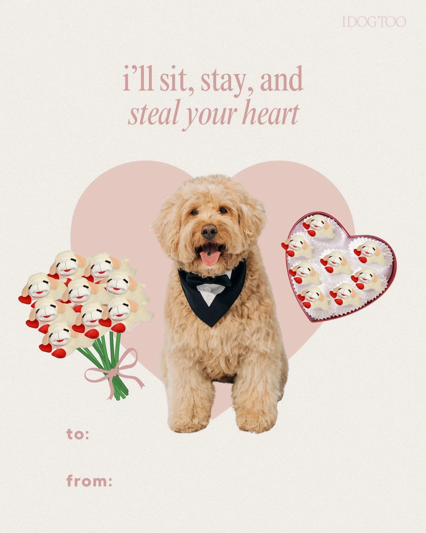 you&rsquo;ve got mail 💌🤭 send these to your valentine 💘 

#ValentinesDay #WillYouBeMine
#dogmemes #dogvalentines