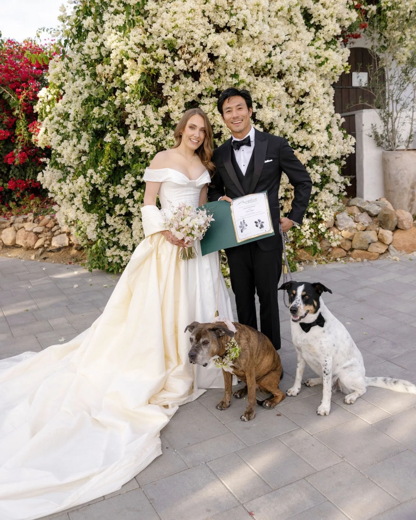 Beta and Bubbas best day, celebrating their parents wedding at the romantic Jeune Perche 🤍🐾 

Design &amp; Planning: @louiseandthird
Venue: @jeuneperche
Photography: @matthewhanlon
Pet Attendant:&nbsp;@idogtoo
Videography:&nbsp;@ashleyandjayfilms
C
