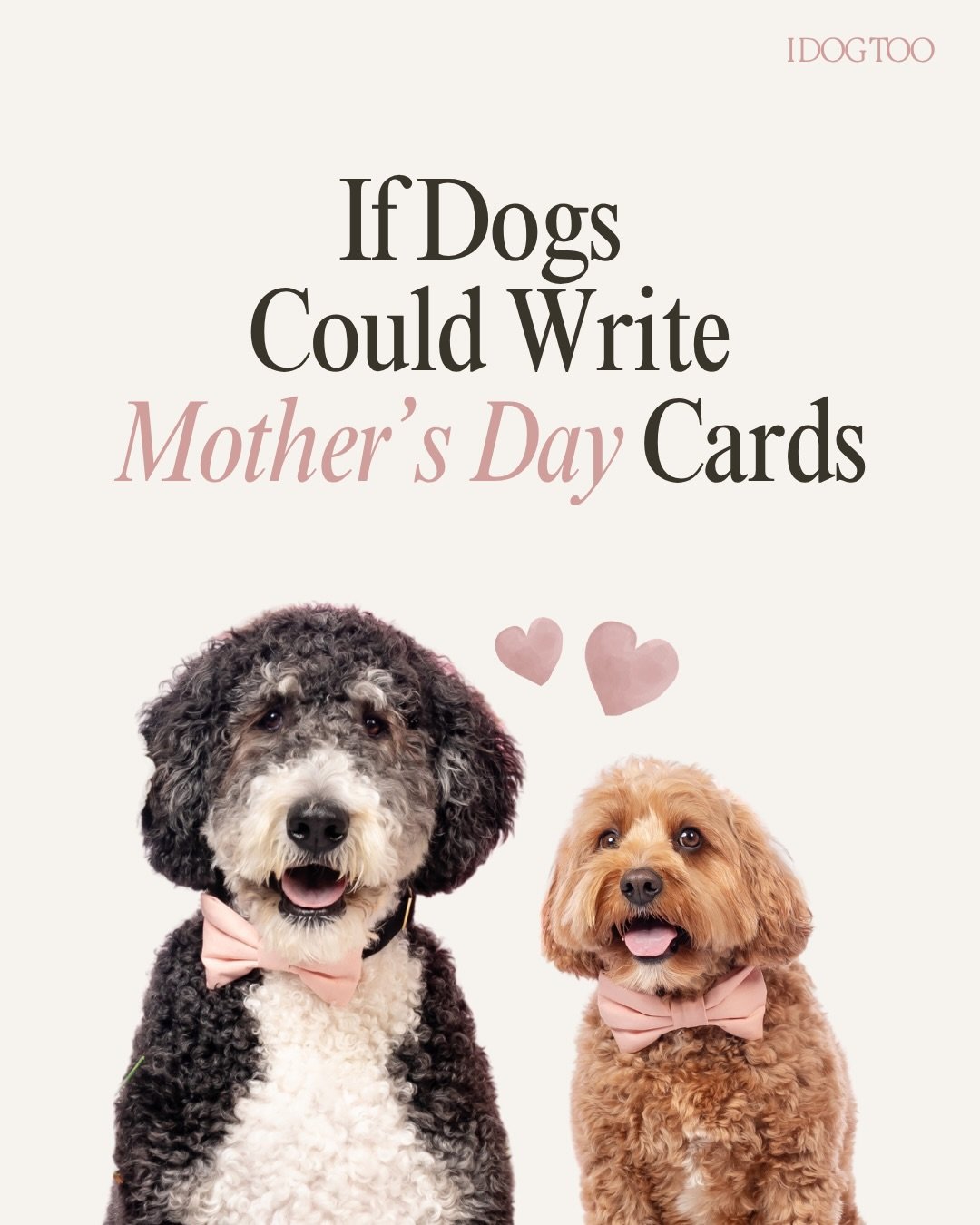 Behind every great dog is a mom who hasn&rsquo;t gone to the bathroom alone in years. Happy Mothers Day to all of the dog moms, foster moms, and cool aunts who keep the treats coming and belly rubs flowing.

Which card resonates with your pup the mos