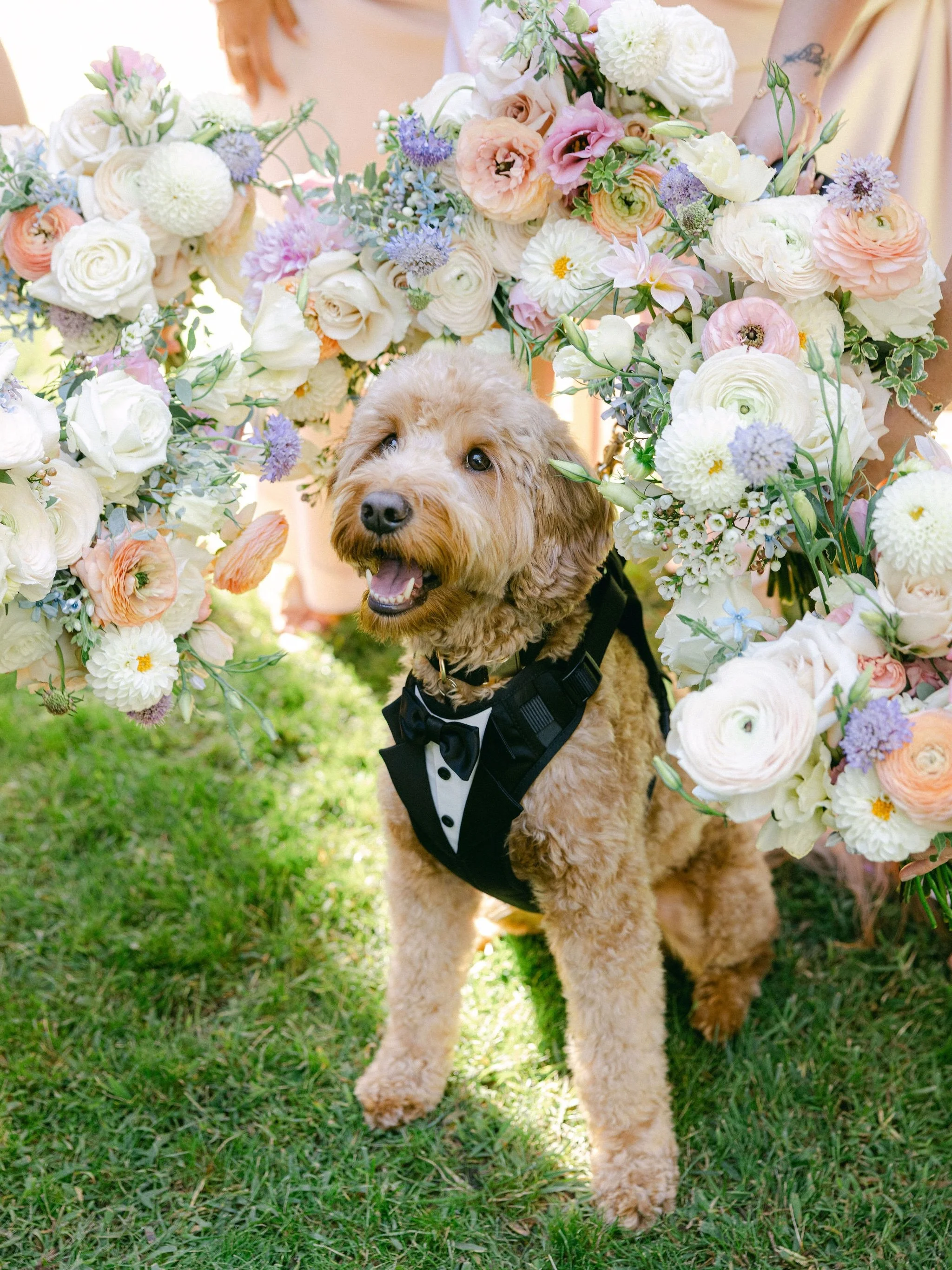 Mondays look better with flowers 💐 save this sweet inspo for your wedding shot list 🤍

If you&rsquo;re planning a wedding where your dog is part of the day, this is your sign to include a floral bouquet moment like this. 
📸 photo credit:
1. @legac