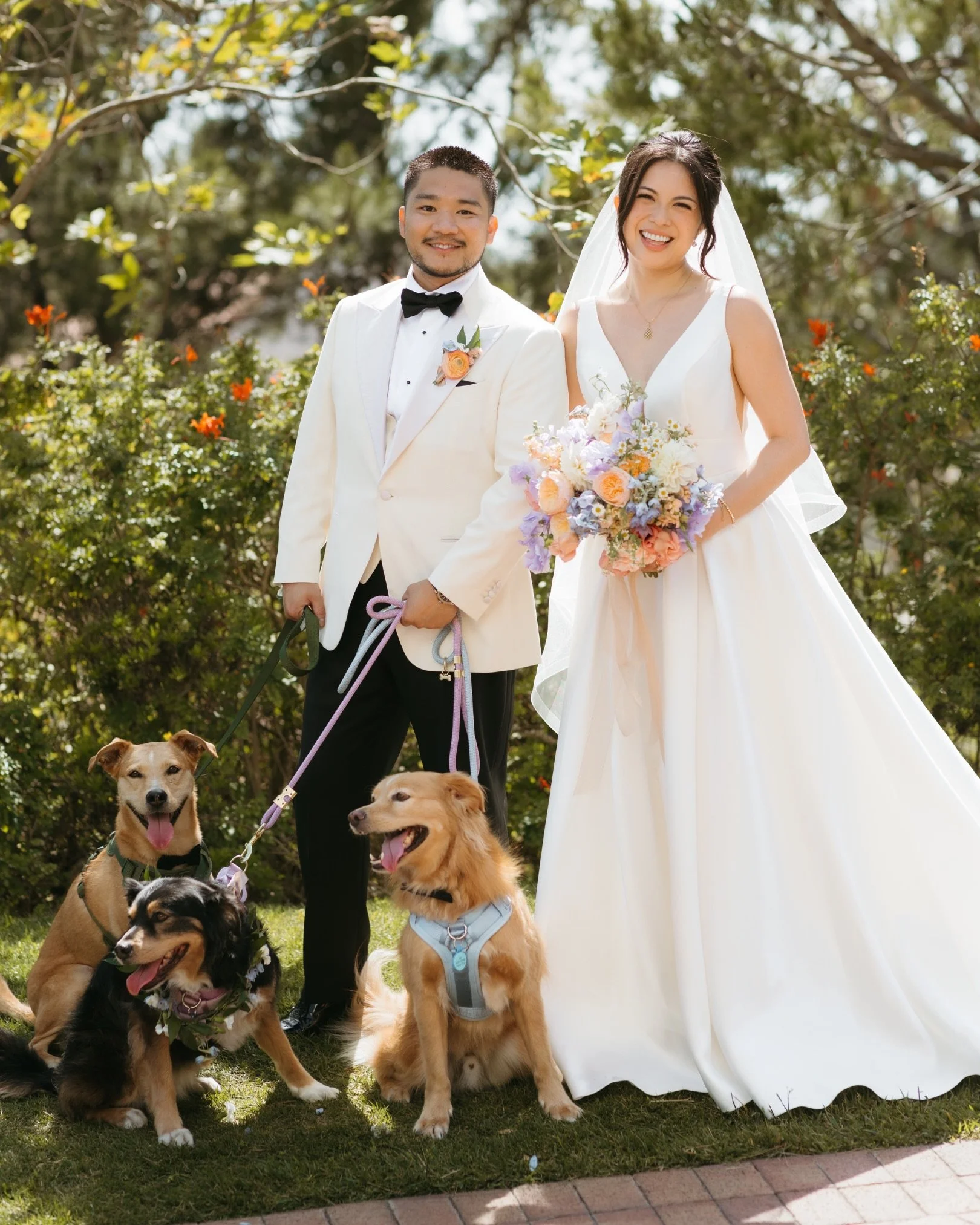 The goodest guests on the list 💍🐾
Dog of honor trio, Luna, Boss and Groot were the pawfect wedding guests for S+D&rsquo;s big day! Fun fact: Groot is Boss and Luna&rsquo;s son, so it was a true full family celebration for the Fung&rsquo;s! 🥹

Day-