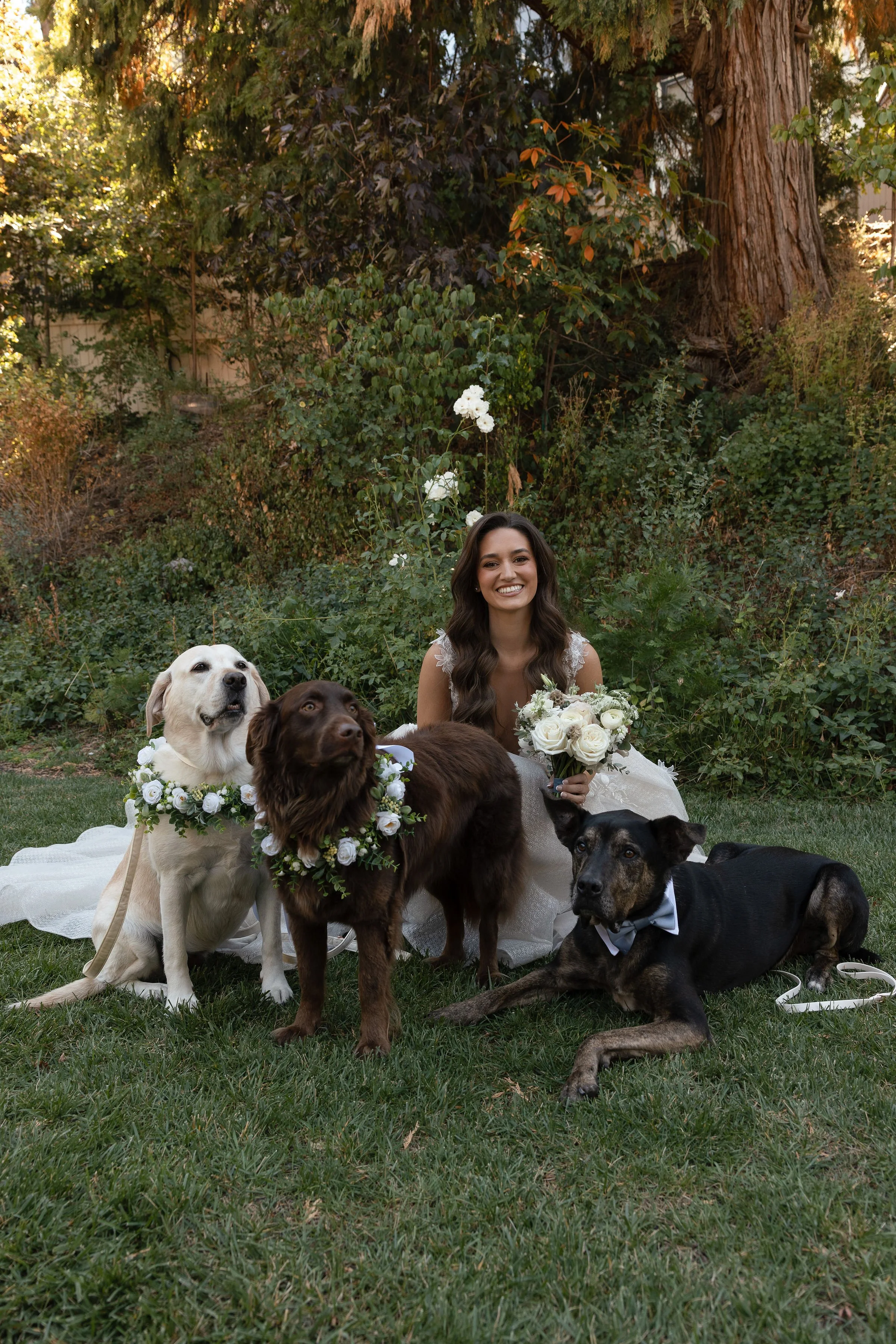 A woman in a wedding dress sitting on grass, smiling with a bouquet of white flowers, surrounded by three dogs wearing floral wreaths and bow ties, in a garden setting with trees and bushes.