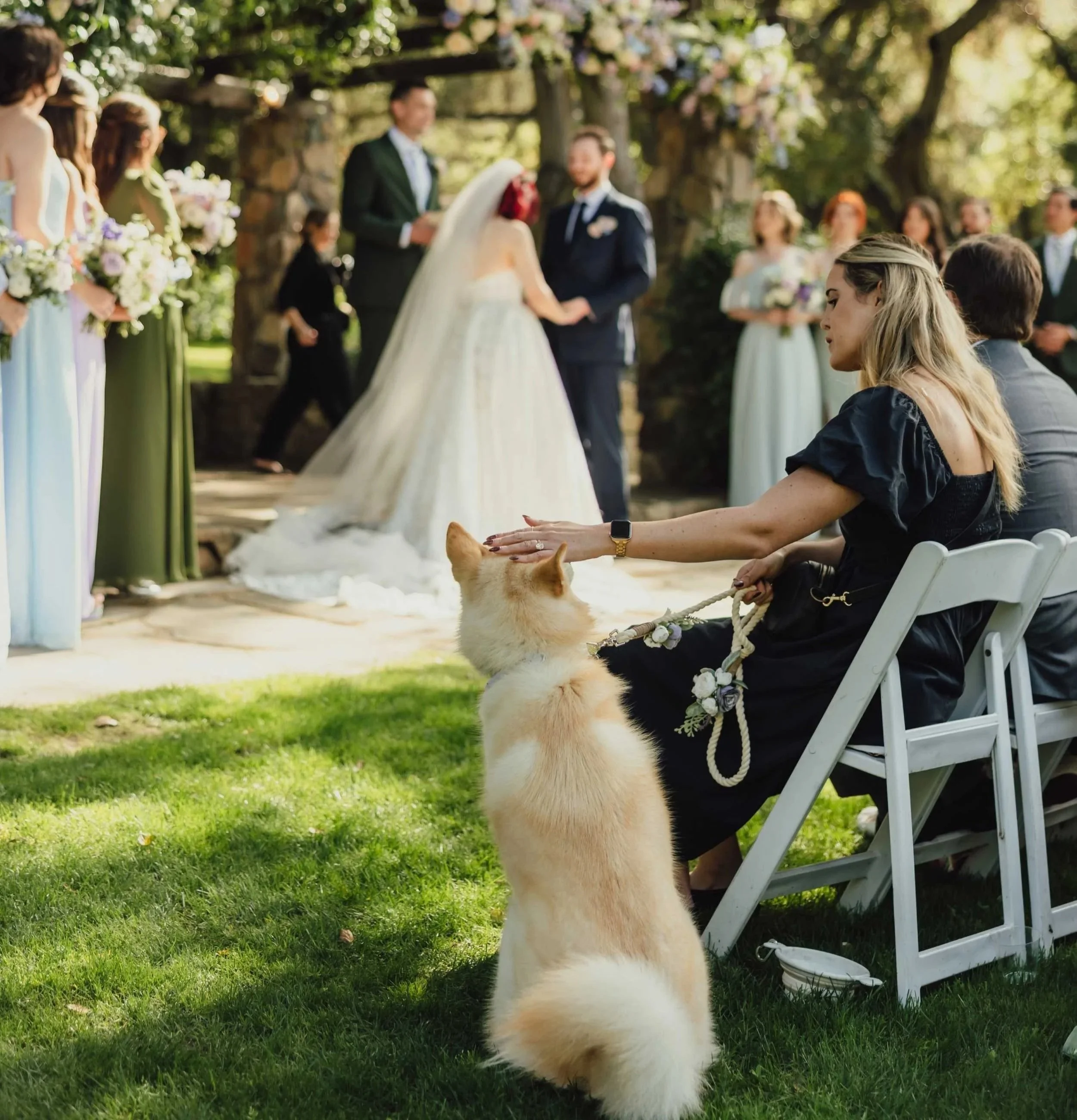 Wedding dog sitter at a wedding ceremony at Havens Country Club