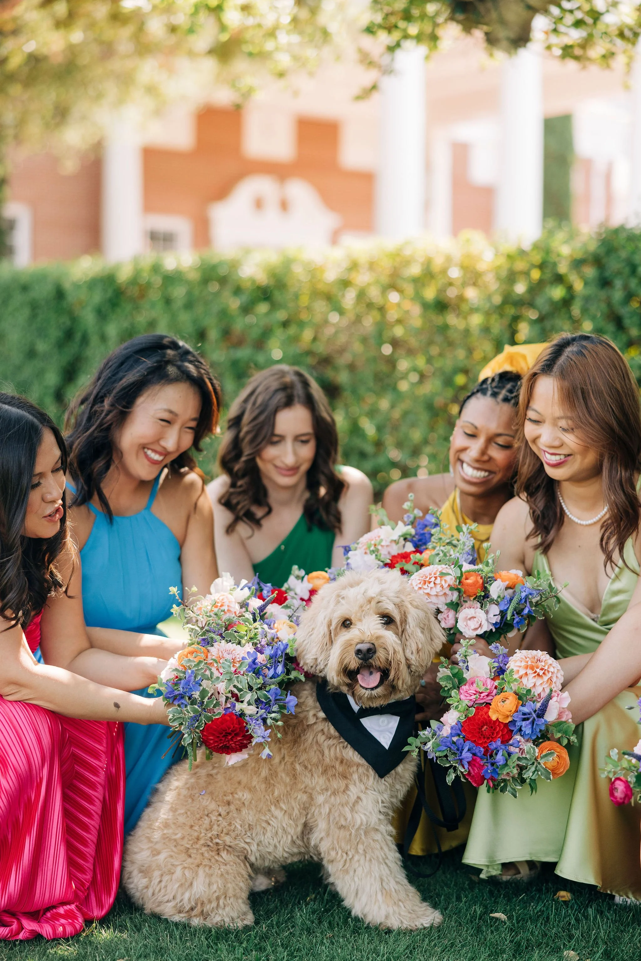 Group of women with a golden doodle dog wearing a tuxedo bib at a garden wedding ceremony.