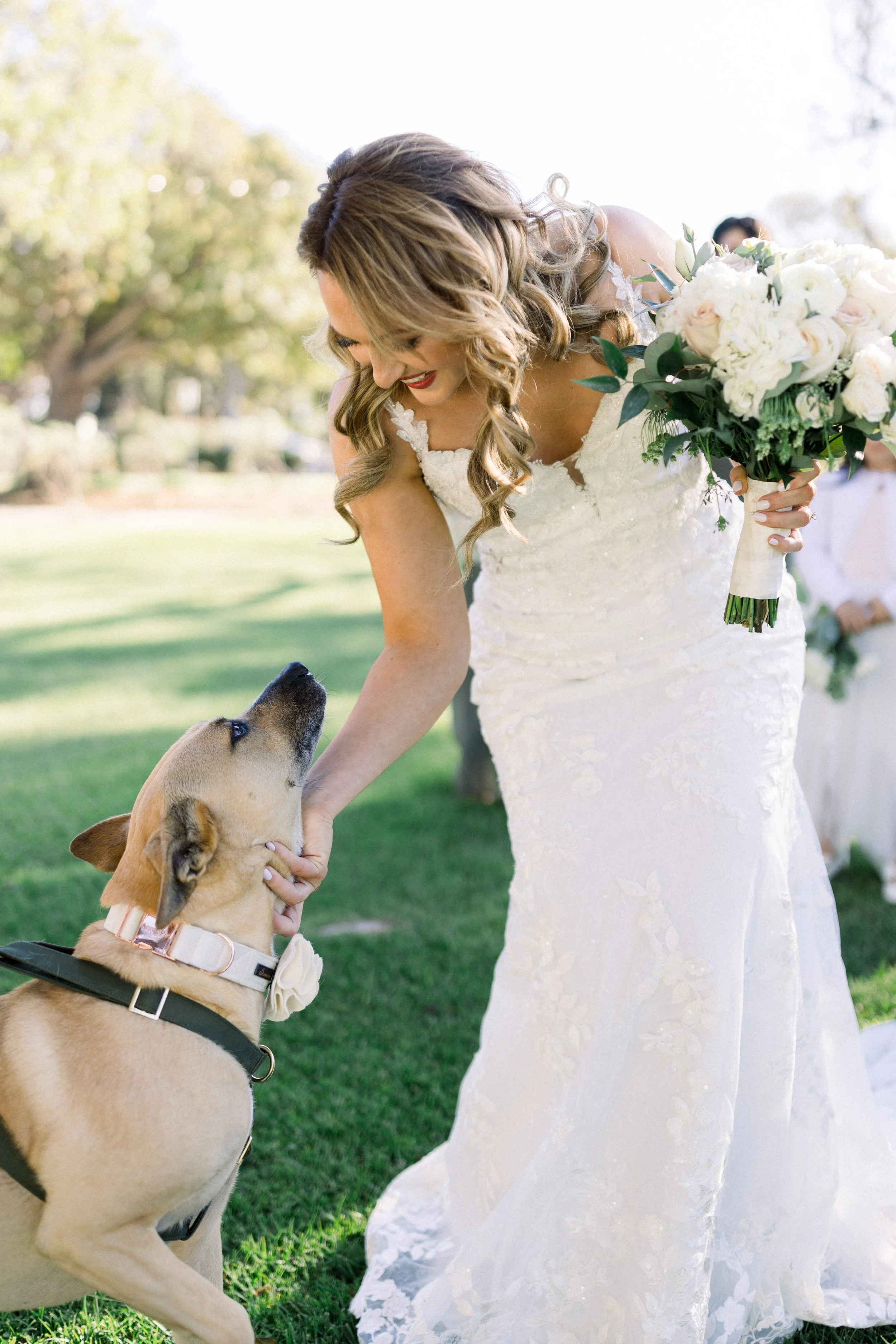 A bride smiling and holding a bouquet, bending down to pet a dog outdoors on a sunny day with trees in the background.