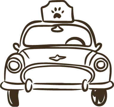 Safe transport of your dog to and from your wedding venue