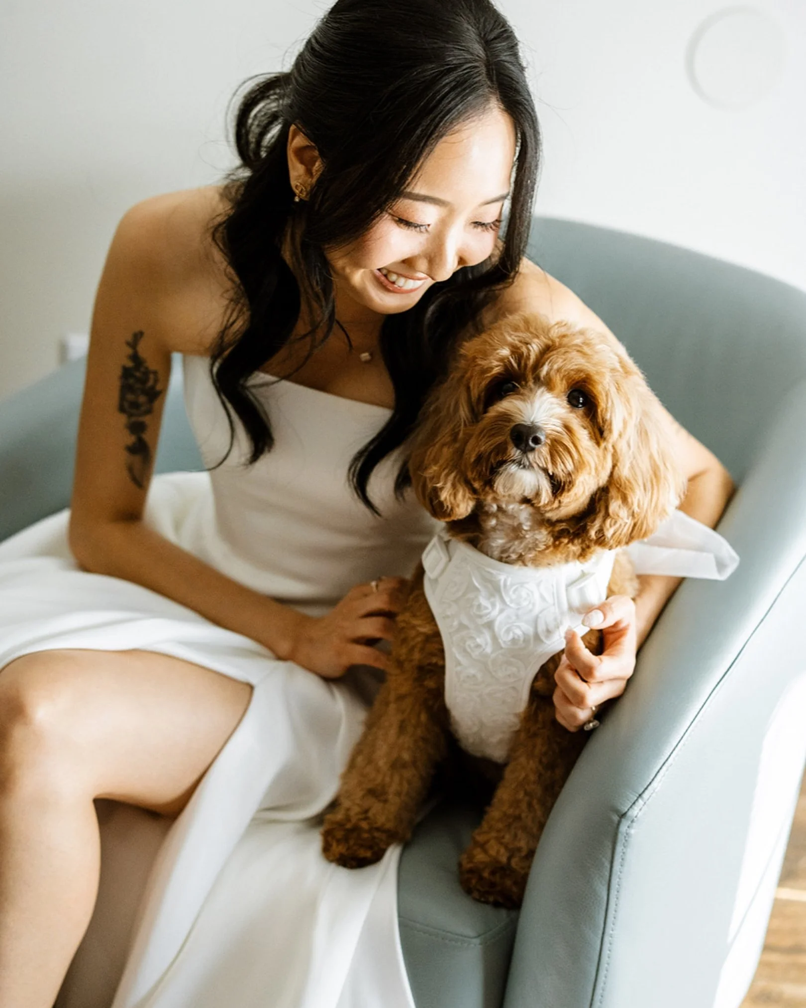 A bride sits in a blue chair smiling down at her Cavapoo puppy wearing a white tulle bridal harness who is sitting beside her.