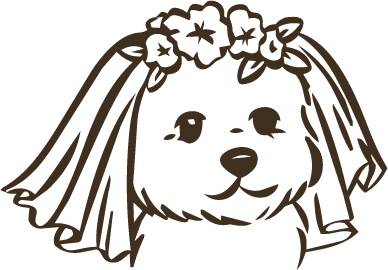 Flower girl dog wearing florals and a veil