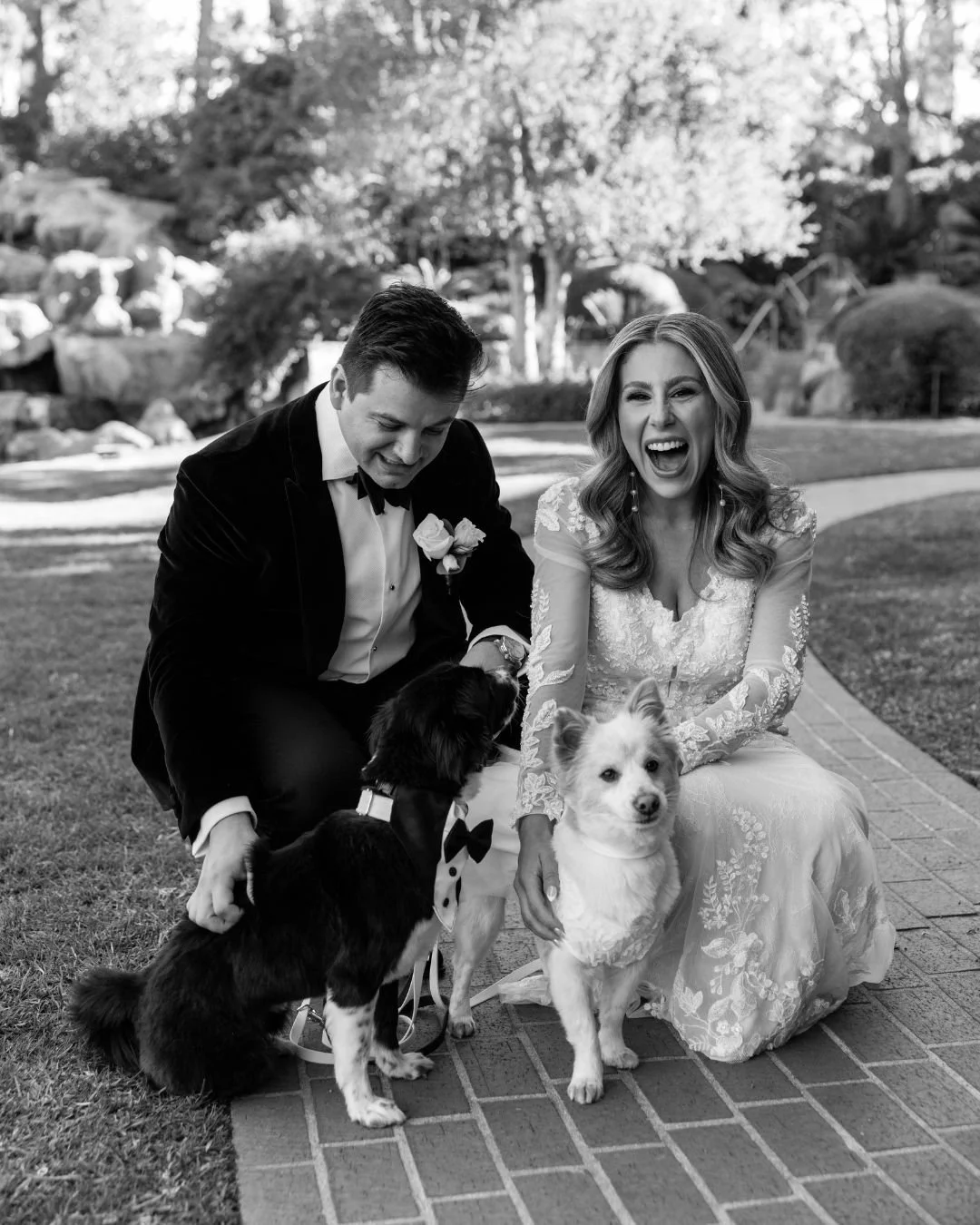 I Dog Too_HomeBanner_8.jpg