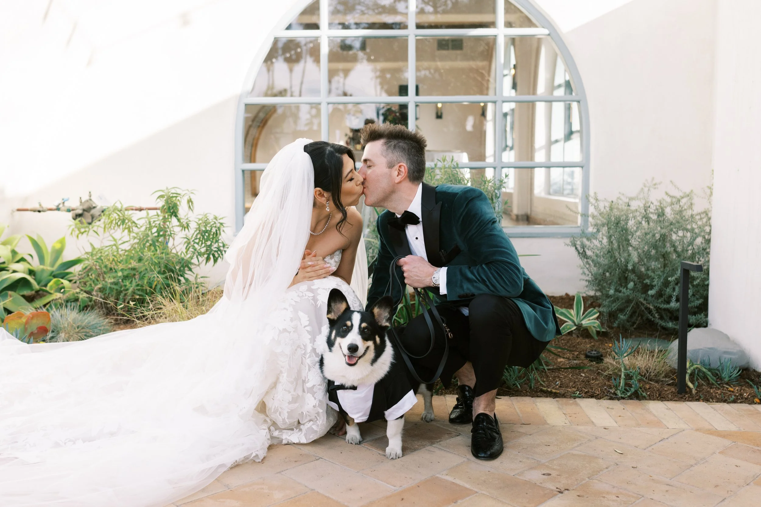 A bride and groom kiss while a dog in a tuxedo looks up happily in a bright indoor space with plants and a large window.