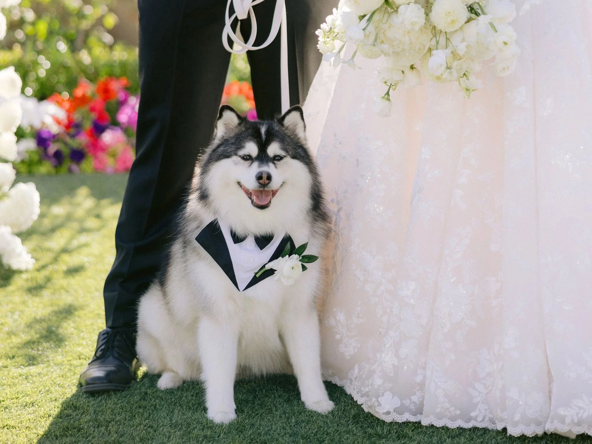 Bride and groom posing with their tuxedo-clad dog during wedding portraits at an outdoor venue.