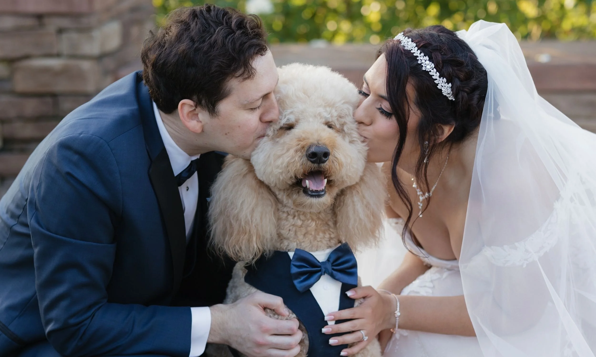 Dog of honor with bride and groom at a Los Angeles wedding